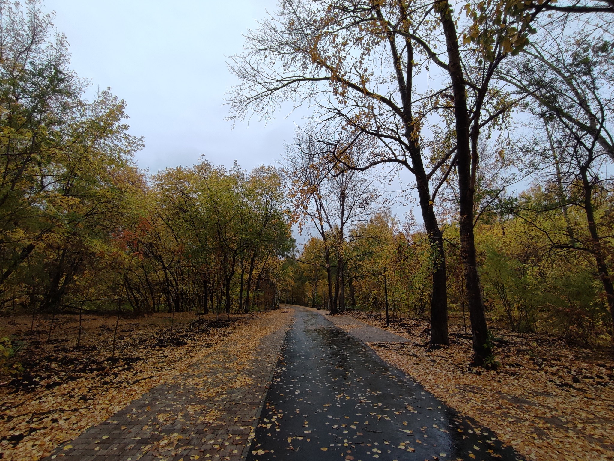 The new look of the Yubileiny park. Barnaul - My, The park, Barnaul, Altai region, Summer, Autumn, Leaves, Revival, Longpost