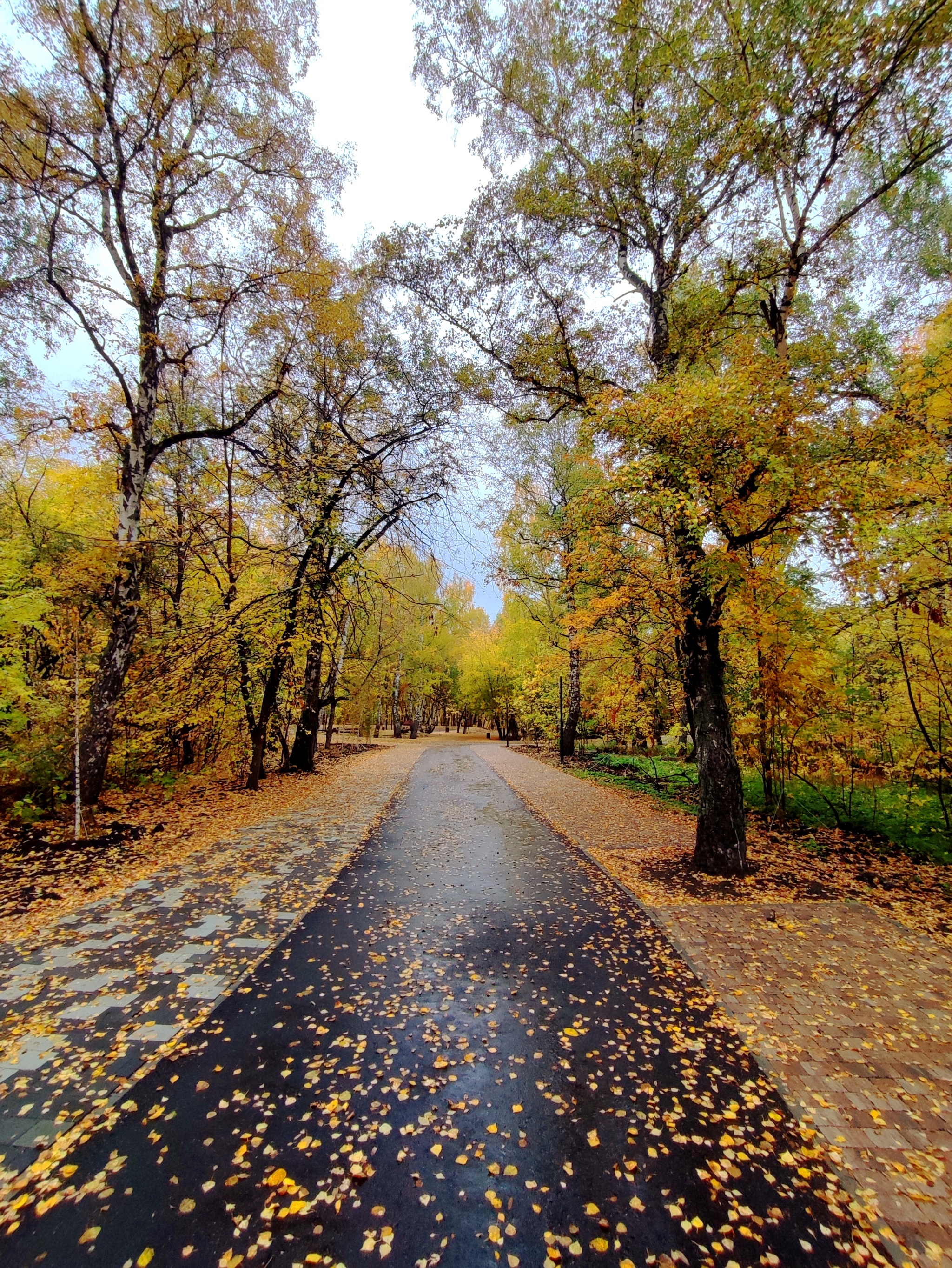 The new look of the Yubileiny park. Barnaul - My, The park, Barnaul, Altai region, Summer, Autumn, Leaves, Revival, Longpost