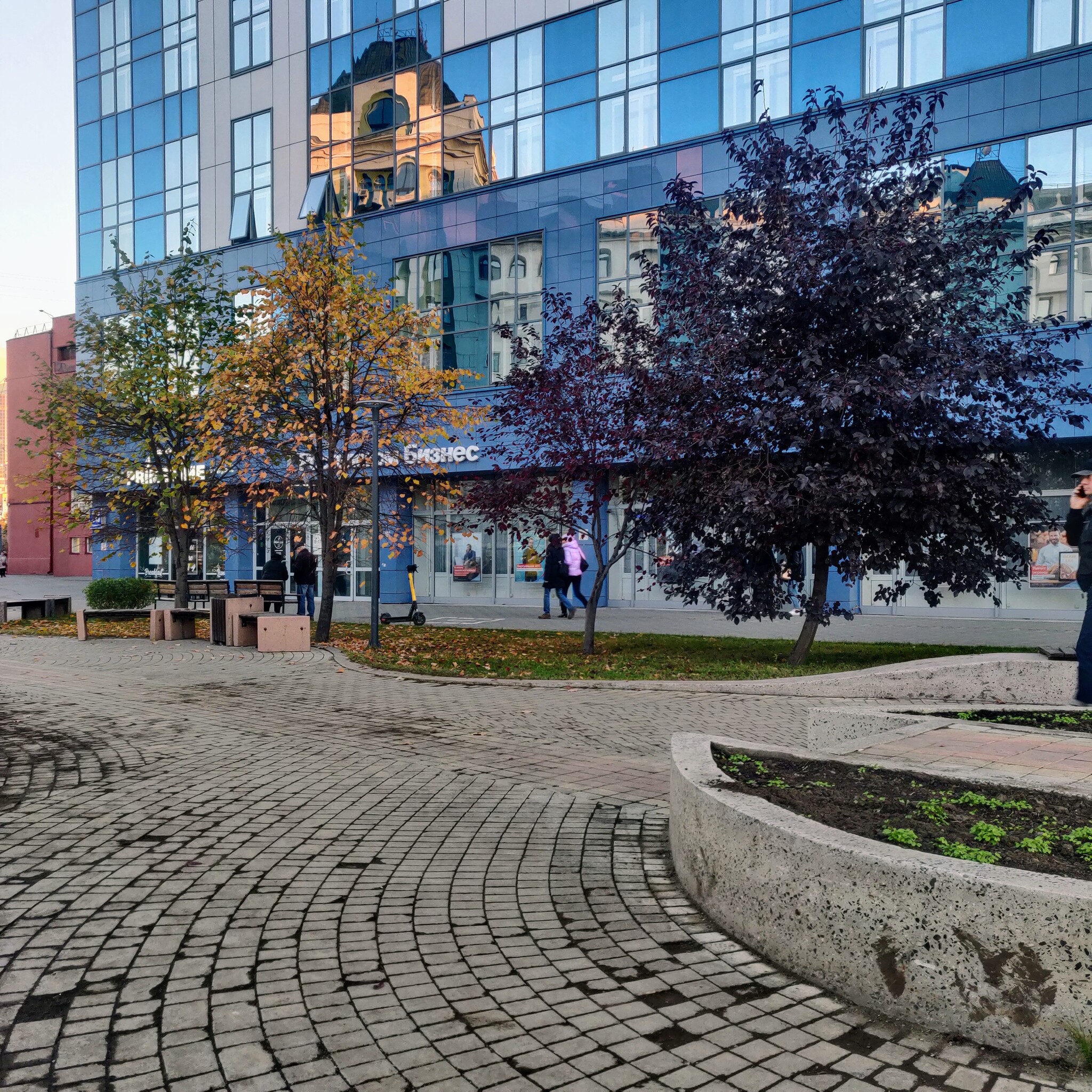 Teplok - My, Novosibirsk, Autumn, Pervomaisky Square, Leaves, Longpost