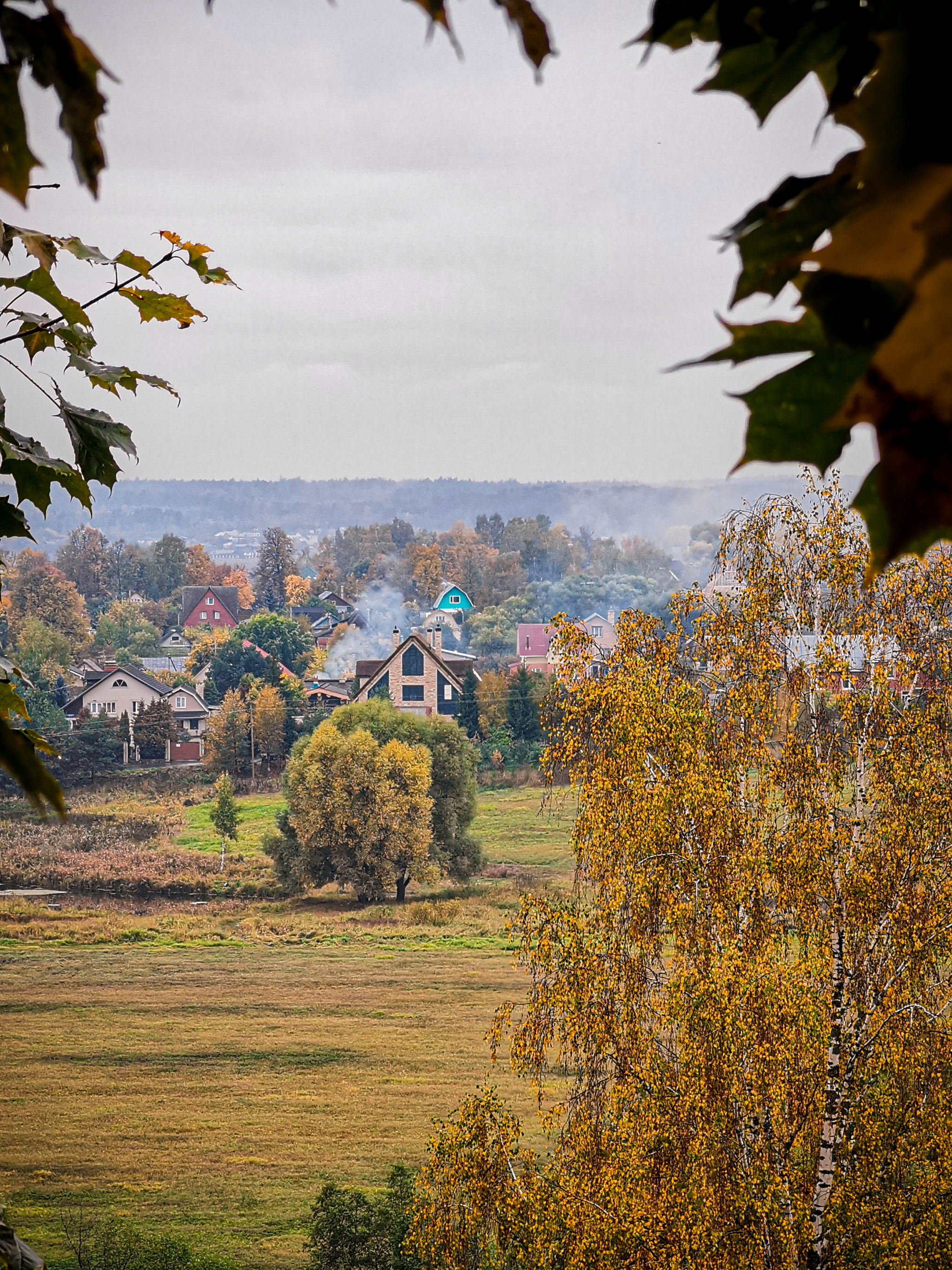 Autumn in Zvenigorod - My, The photo, Mobile photography, Zvenigorod, Fog, Autumn