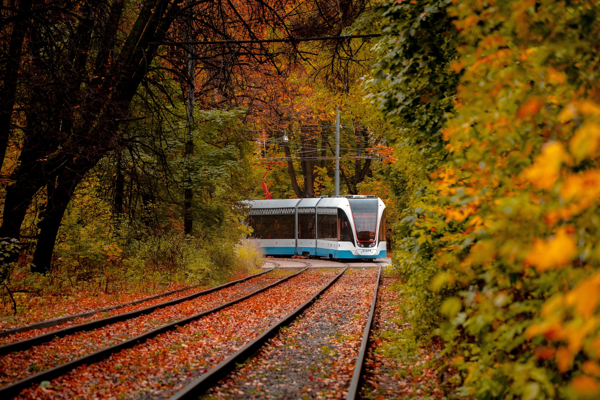 ������� ����� ��� ������