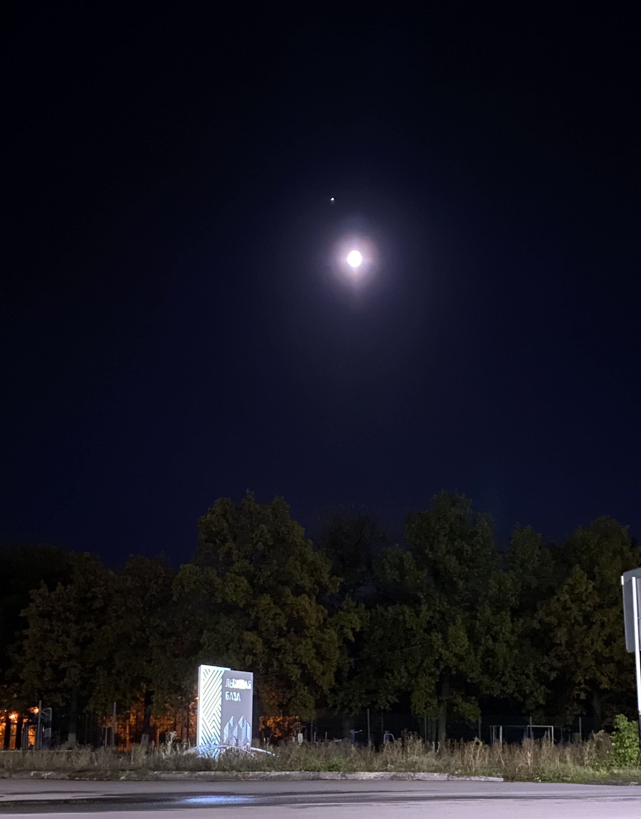 Moonlight night - My, moon, Nature