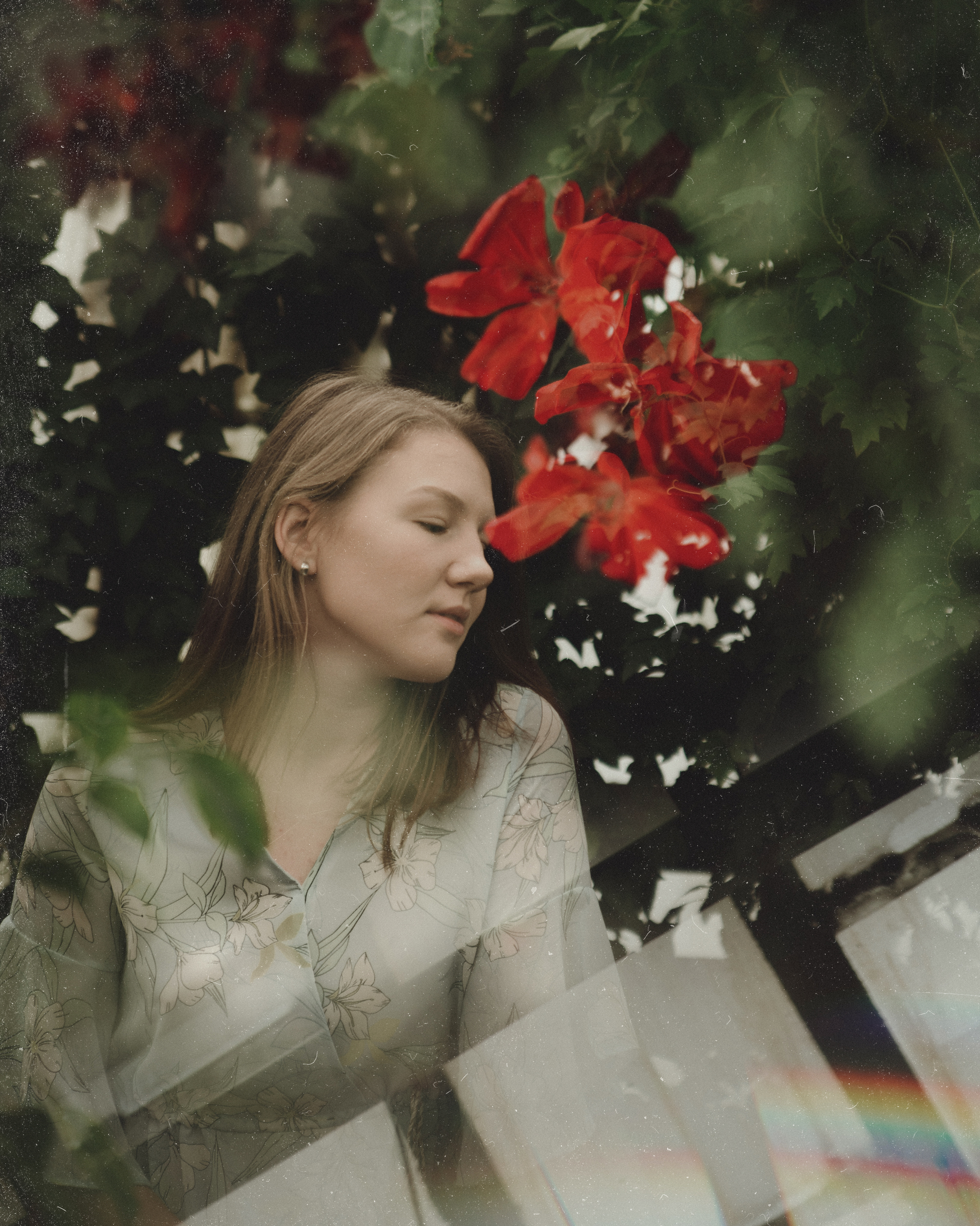 Angelica - My, The photo, Chelyabinsk, Nikon, Greenhouse, Longpost