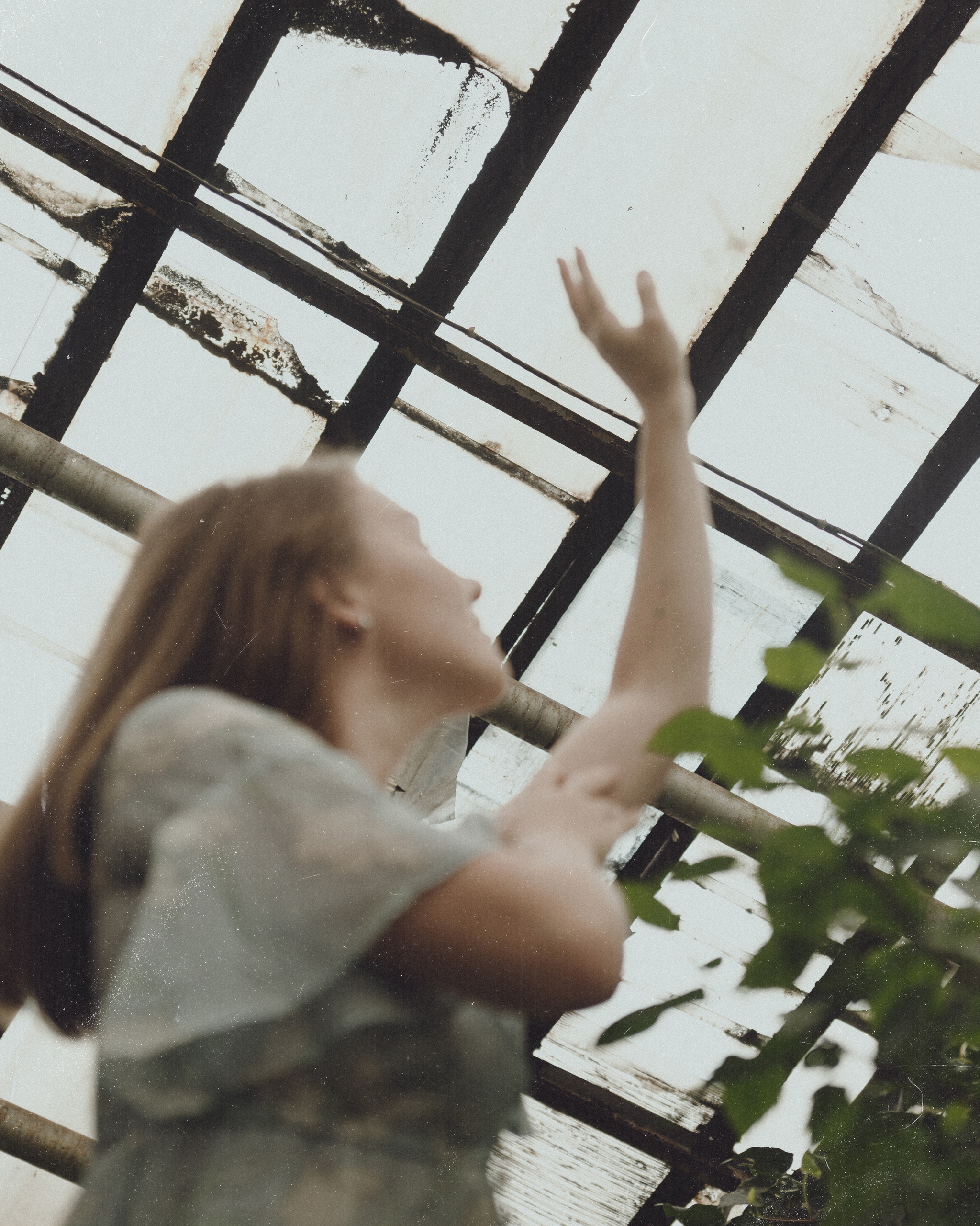 Angelica - My, The photo, Chelyabinsk, Nikon, Greenhouse, Longpost