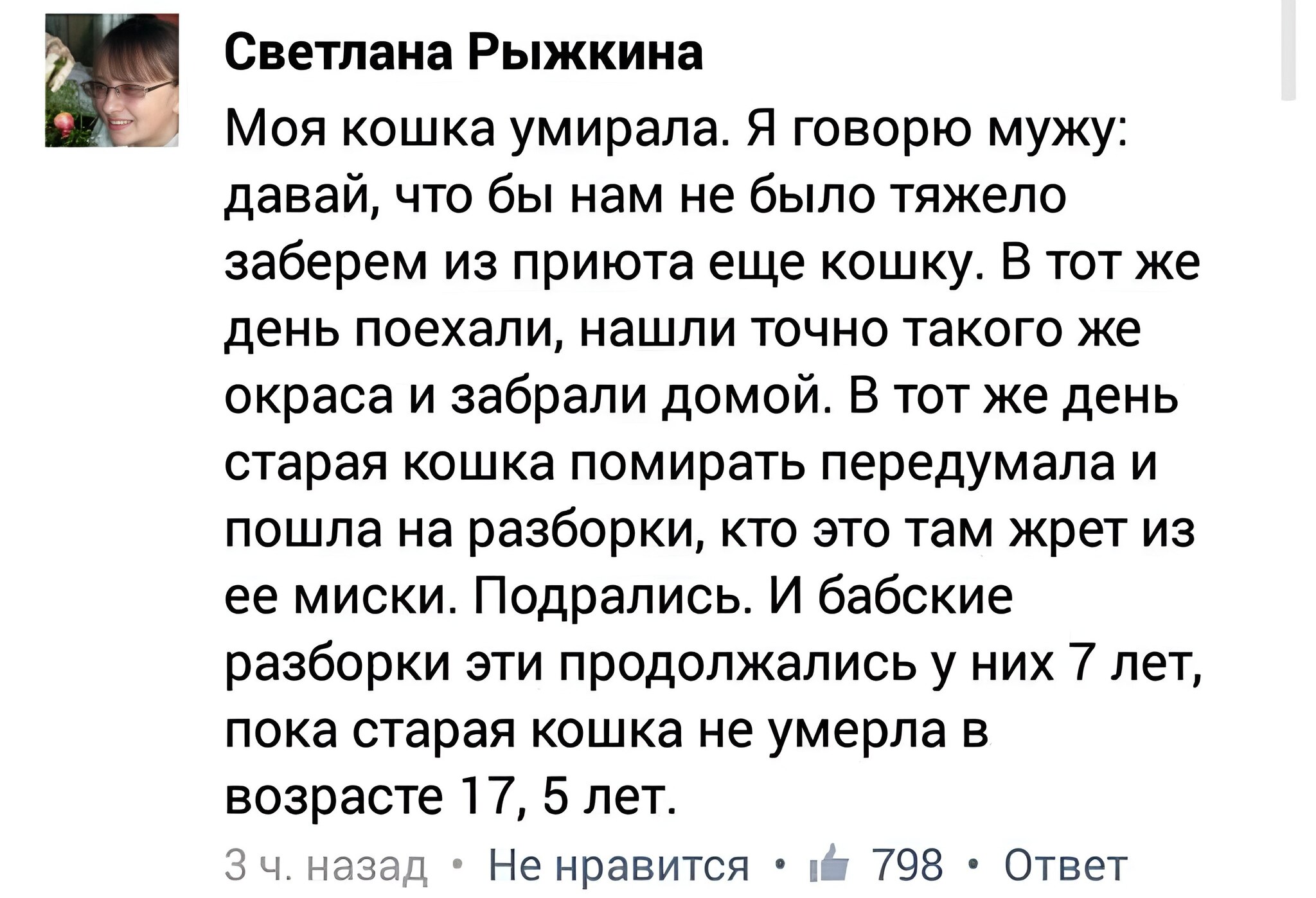 Когда передумал умирать - Картинка с текстом, Скриншот, Кот, Комментарии, Смерть