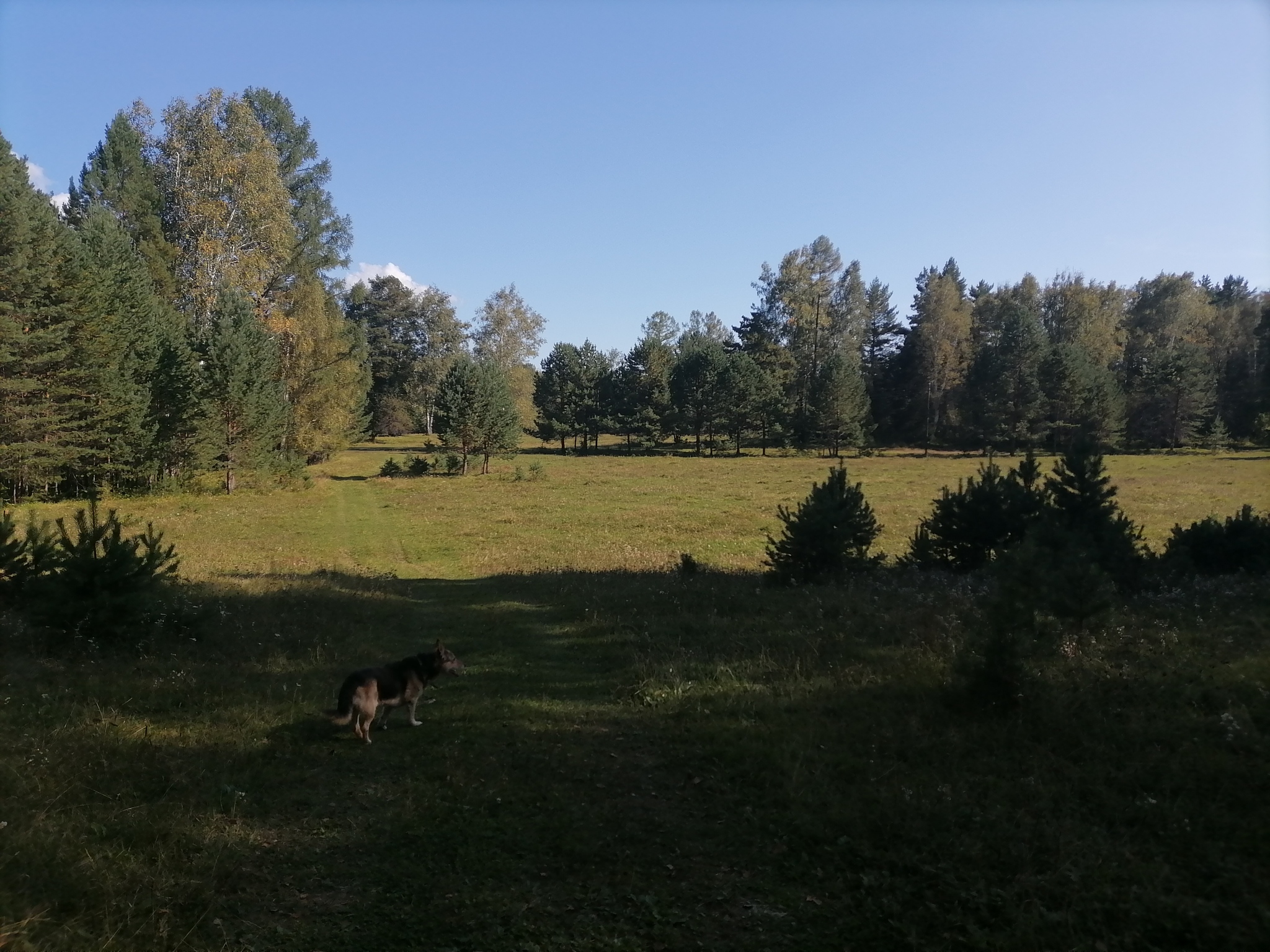 Very cozy village :) Shaman in the Irkutsk region - My, Irkutsk region, Nature, The mountains, Longpost