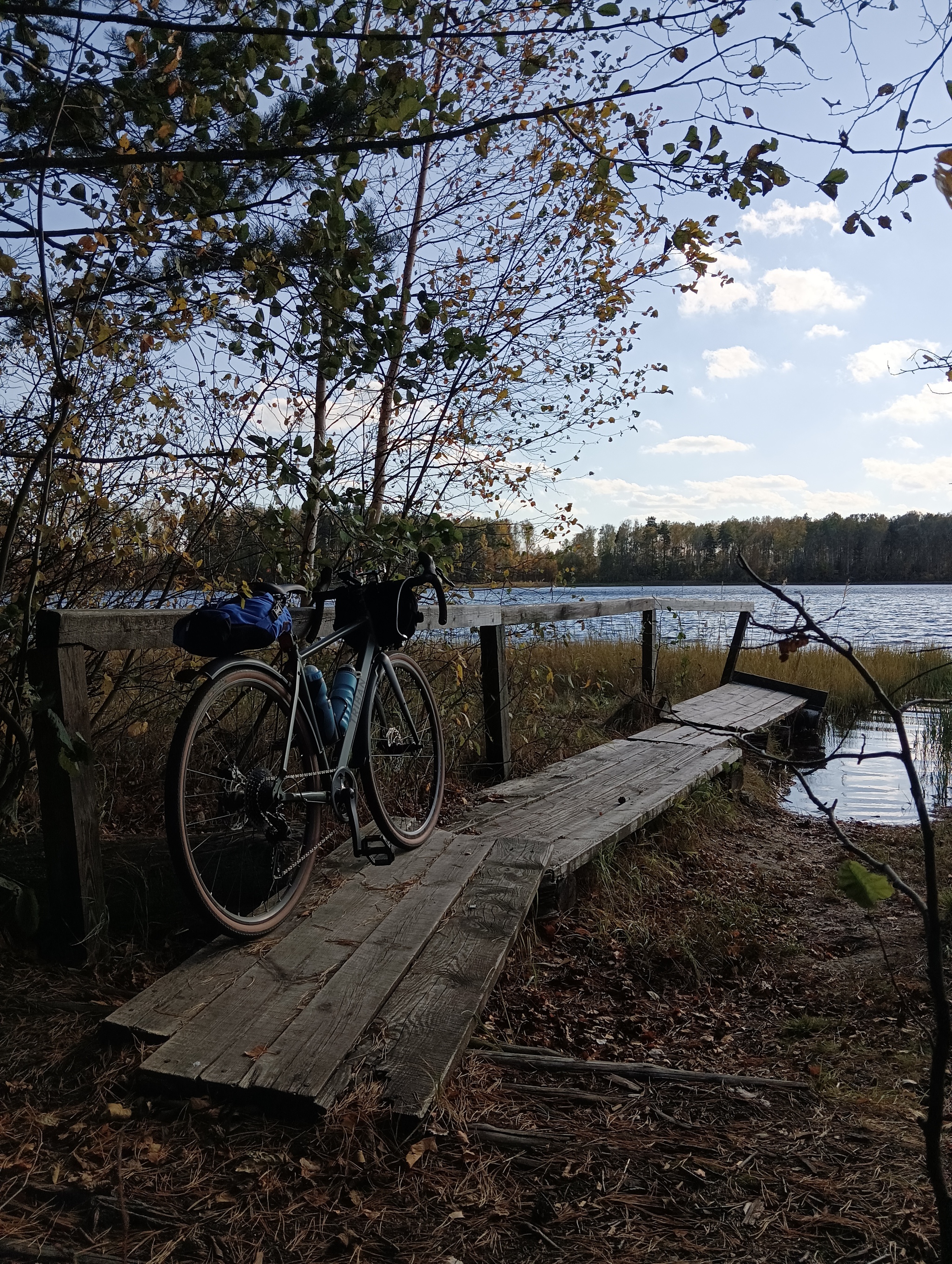 Autumn forest - My, A bike, Bike ride, Cyclist, Gravel, Forest, The photo