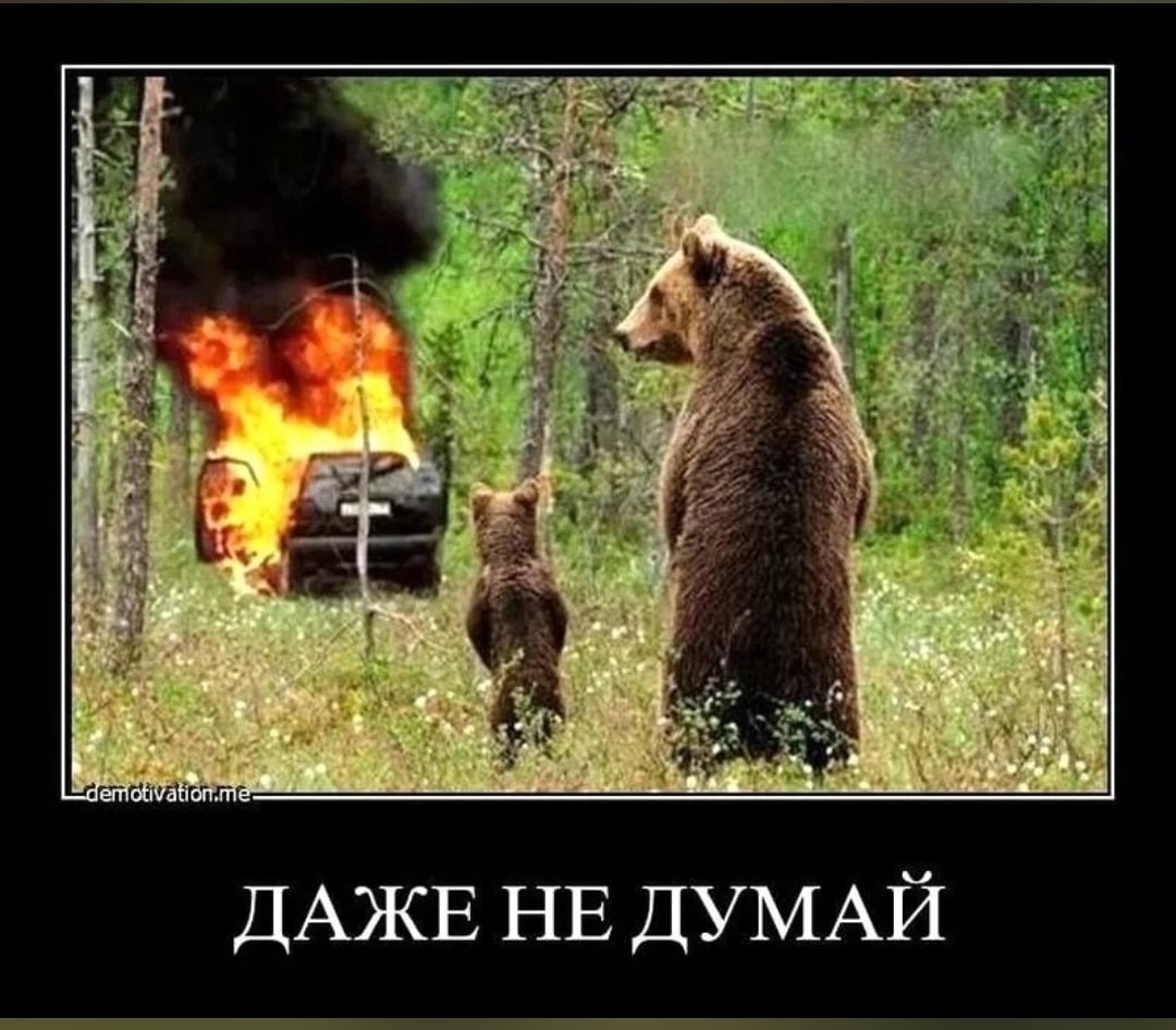Было время был я весел. Медведь. Медведь прикол. Медведь идет по лесу. Приколы в лесу.