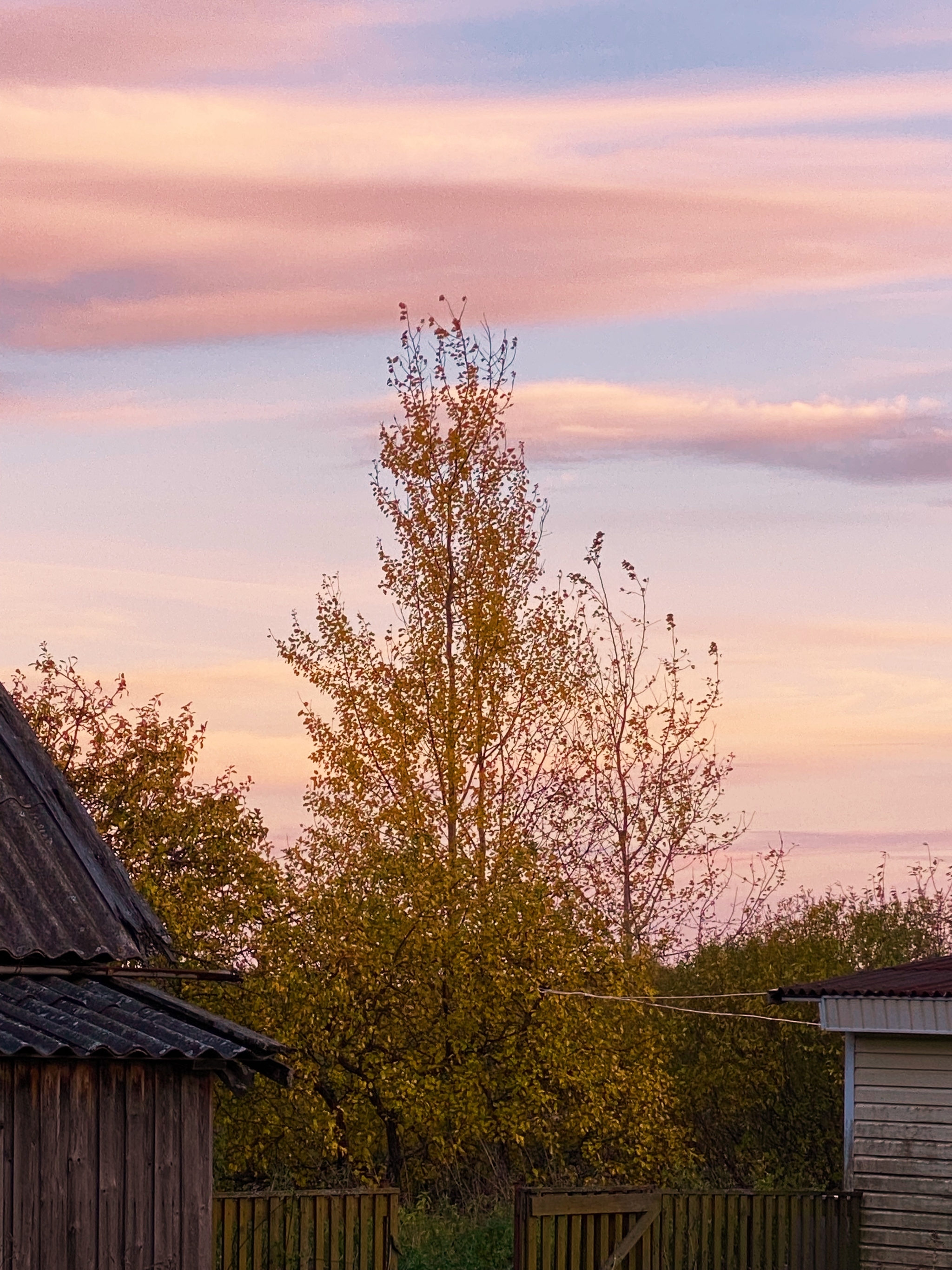 Autumn evening, village Chernicheno, Tver region - My, Autumn, Landscape, Mobile photography, Oxbow, Tver region, Village