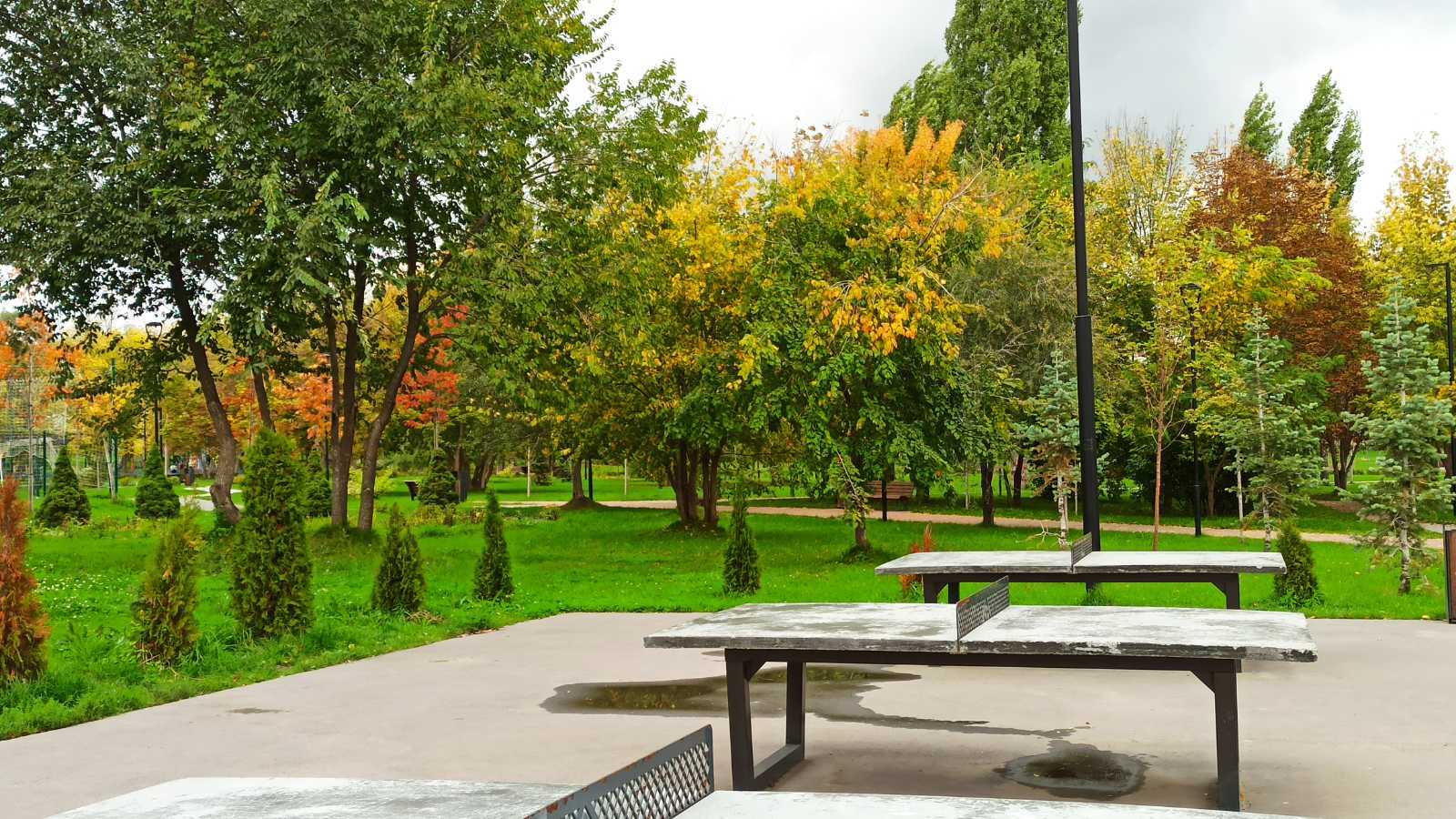 Saratov. Square M. Raskova - My, Saratov, Nature, The park, beauty, Square, Autumn, Tree, Grass, Leaves, Russia, Longpost