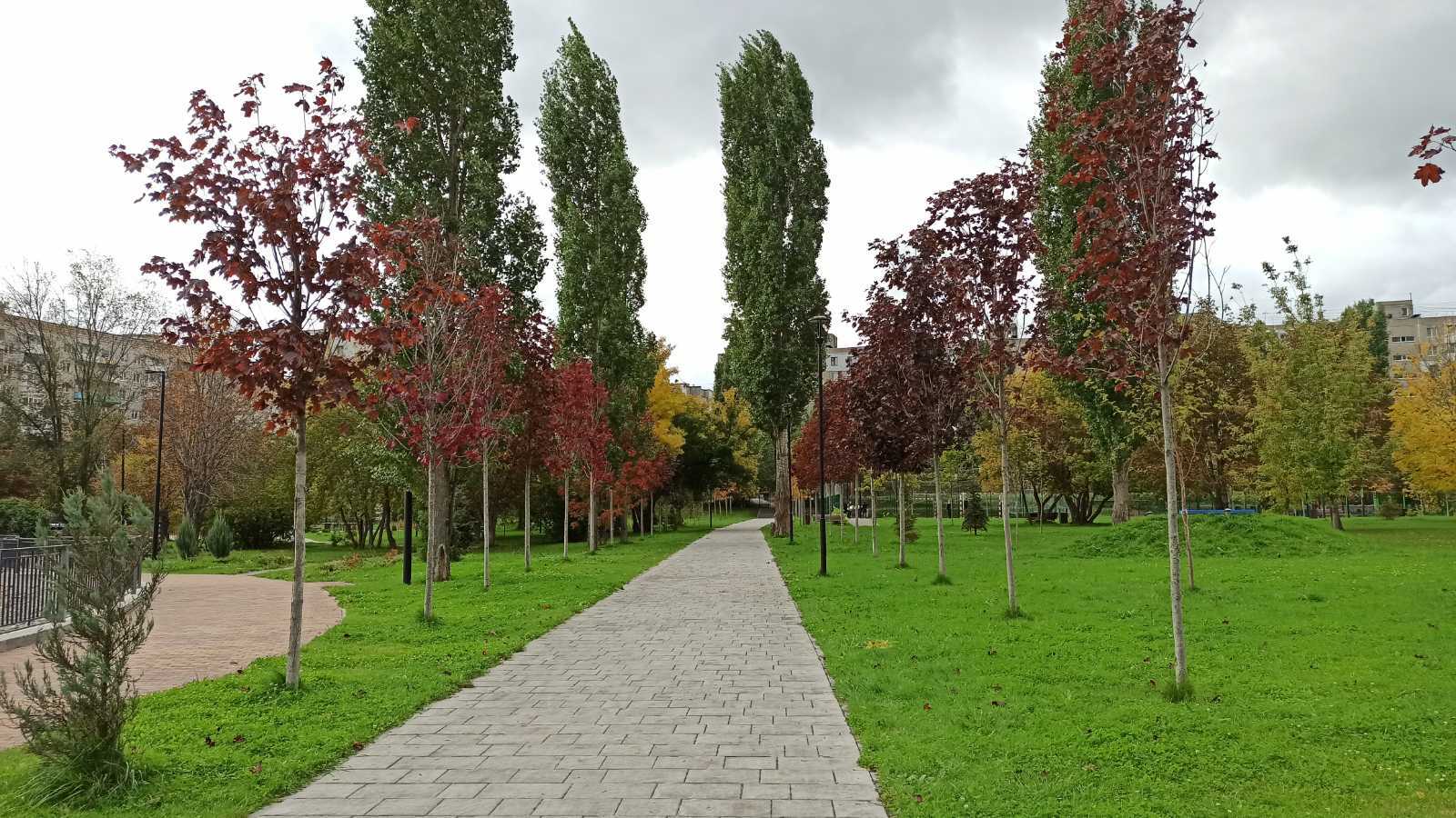 Saratov. Square M. Raskova - My, Saratov, Nature, The park, beauty, Square, Autumn, Tree, Grass, Leaves, Russia, Longpost