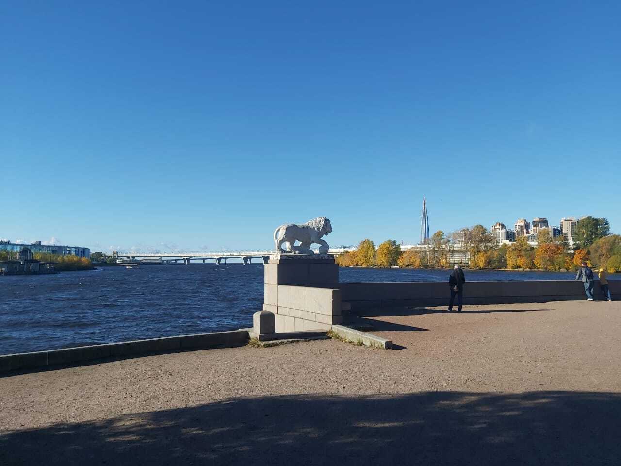 Осень на Елагином - Моё, Осень, Листва, Елагин остров, Октябрь, Длиннопост, Санкт-Петербург, Природа