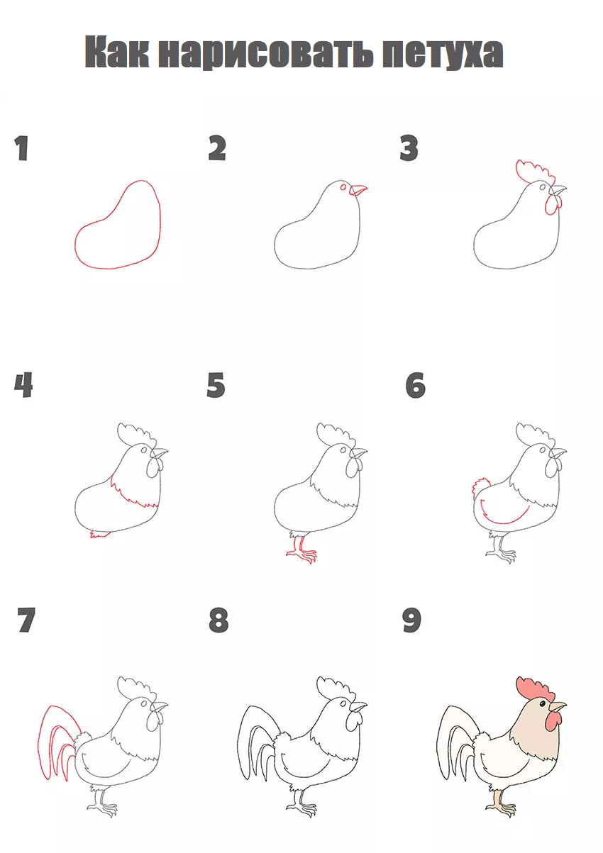 How to draw a rooster step by step - Animals, Creation, Painting, Beginner artist, Drawing process, Digital, Art, Digital drawing, Drawing lessons, Tutorial
