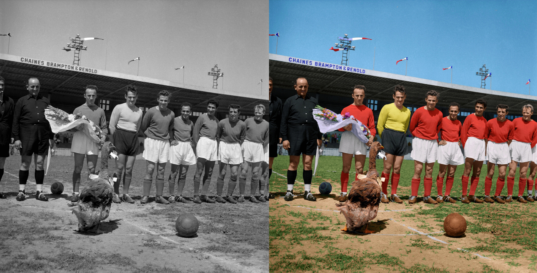 Toulouse and their goose, 1953, in color - My, Football, Black and white photo, Story, France, 50th