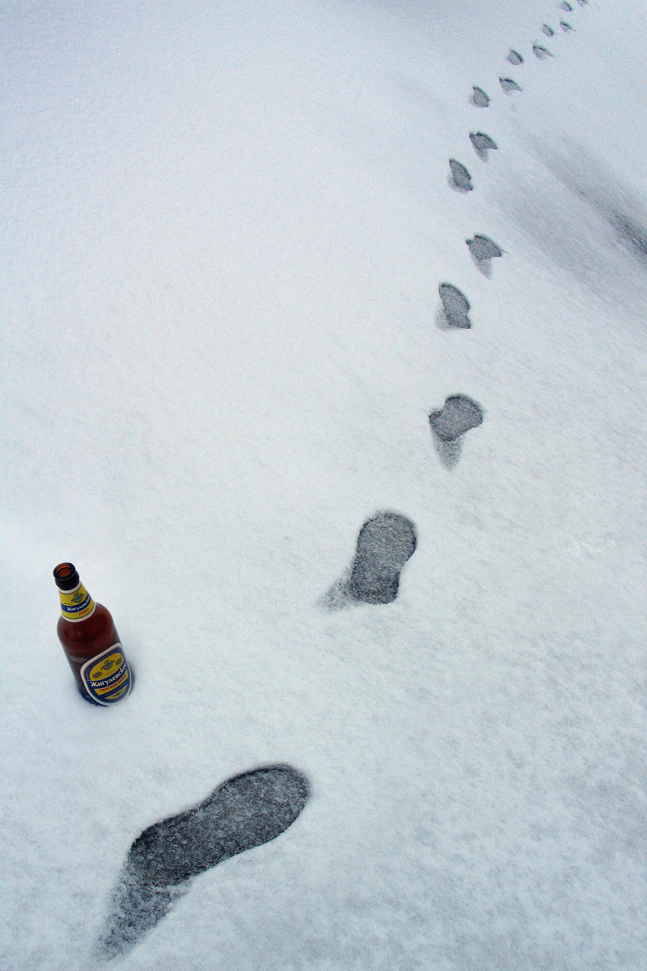 Monday morning)) - My, Snow, Footprints, Beer, Morning, The photo