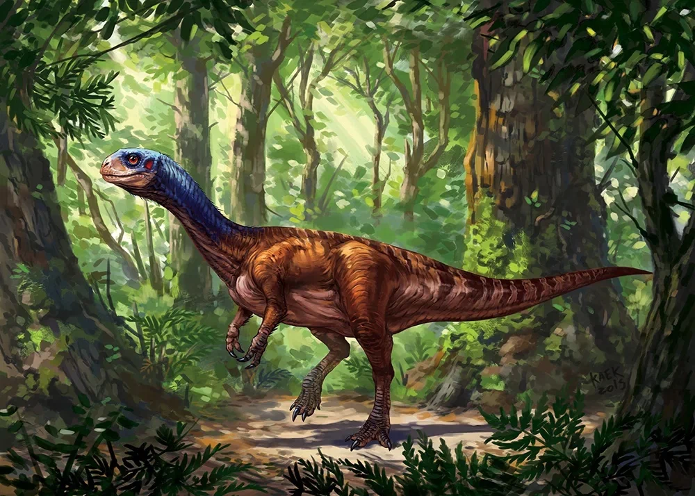 Chilesaurus A Possible Transitional Link Between The Two Main Groups 