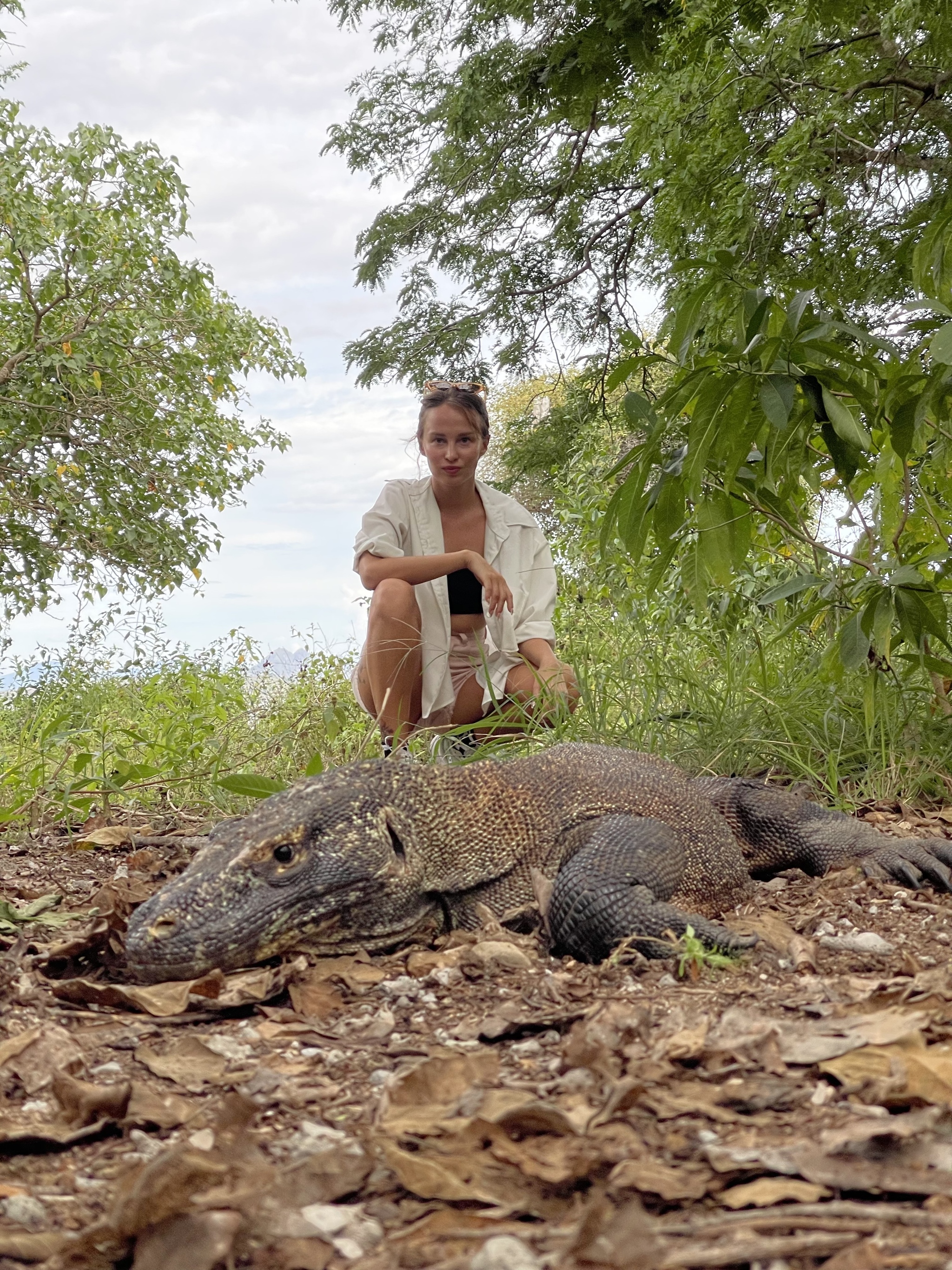 Dragon Island - My, Travels, Asia, Komodo monitor lizard, Longpost