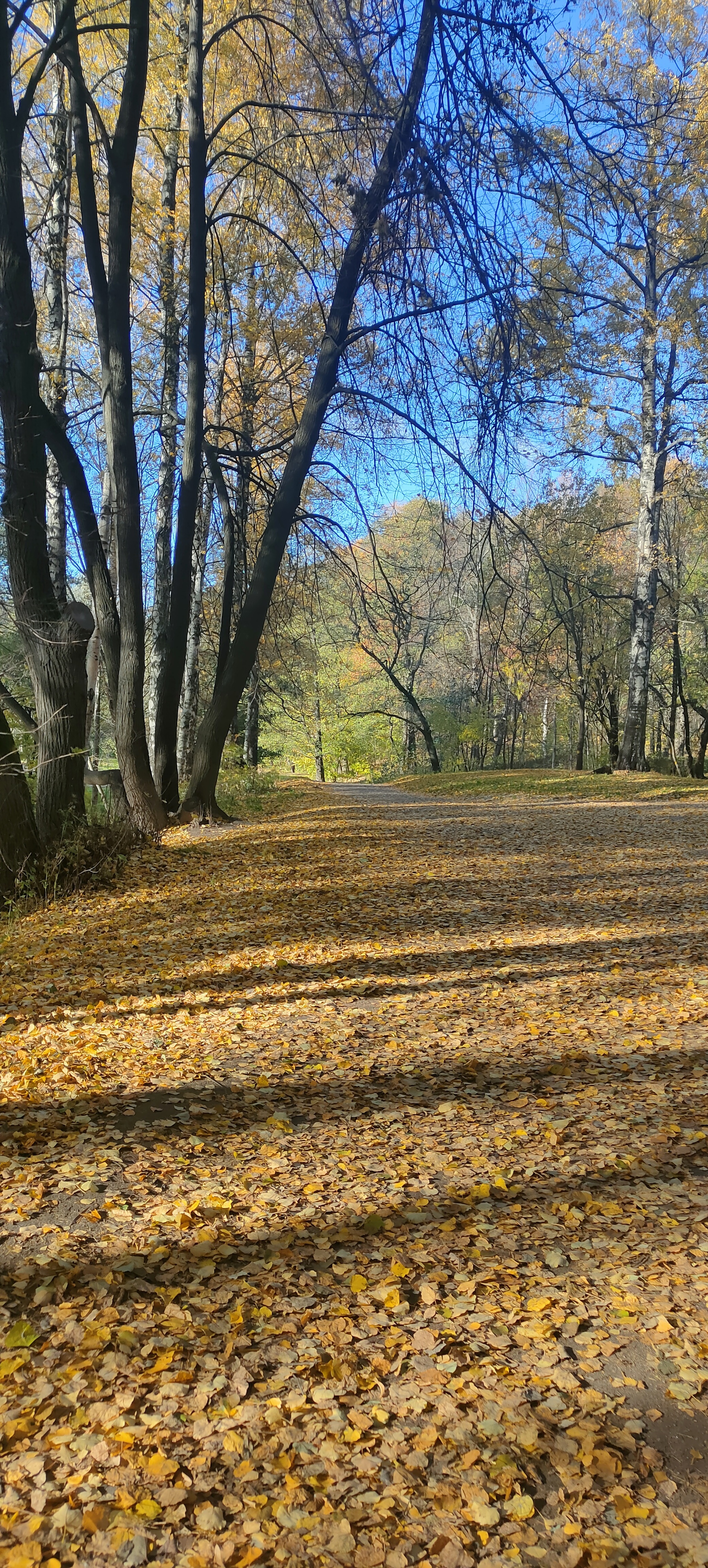 Too early to end the season - Pokatushki, Specific Park, Mobile photography, Longpost