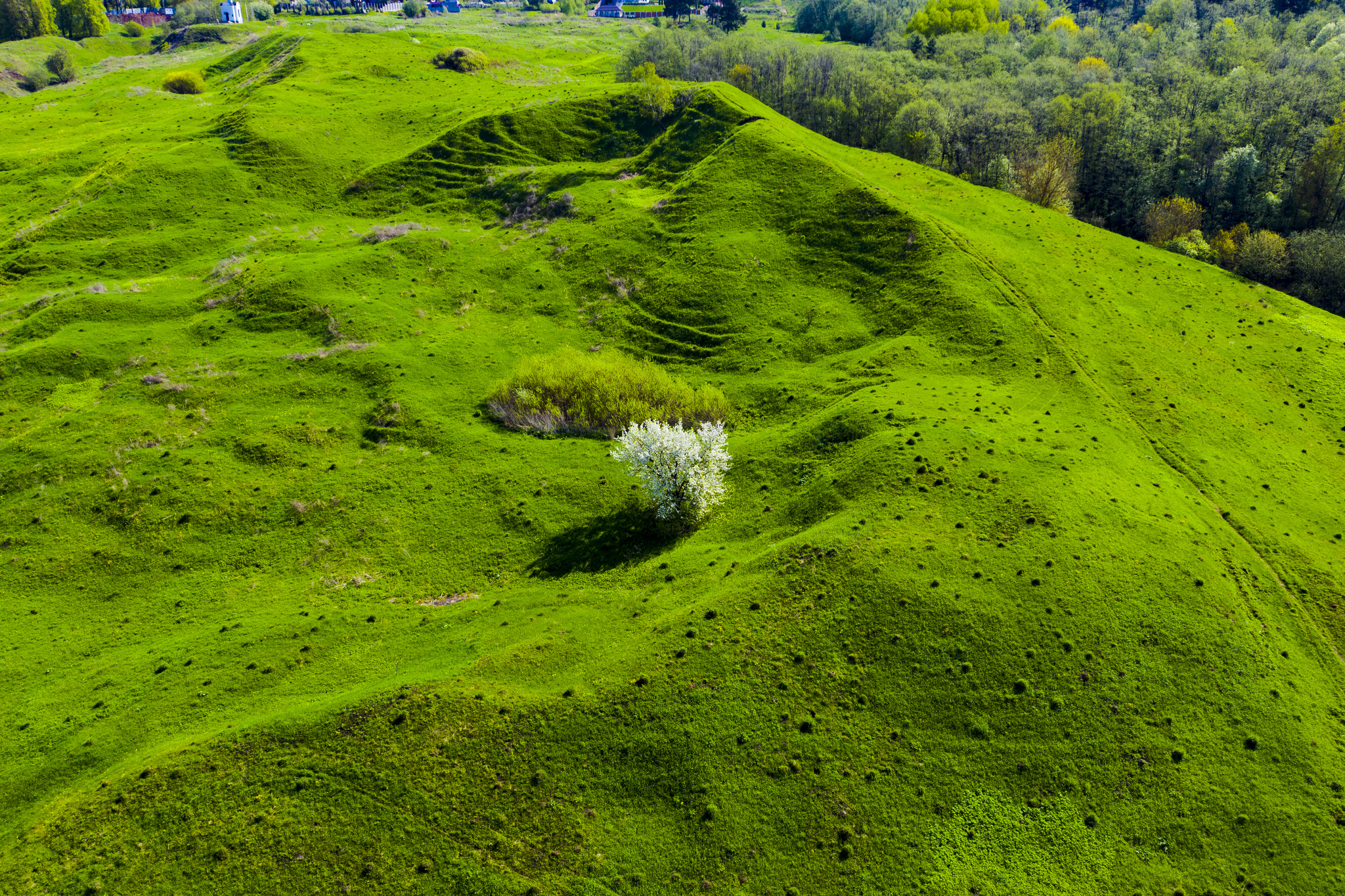 Tula region - My, Quadcopter, Drone, Aerial photography, The photo, Video, Longpost, Friday tag is mine, Nature