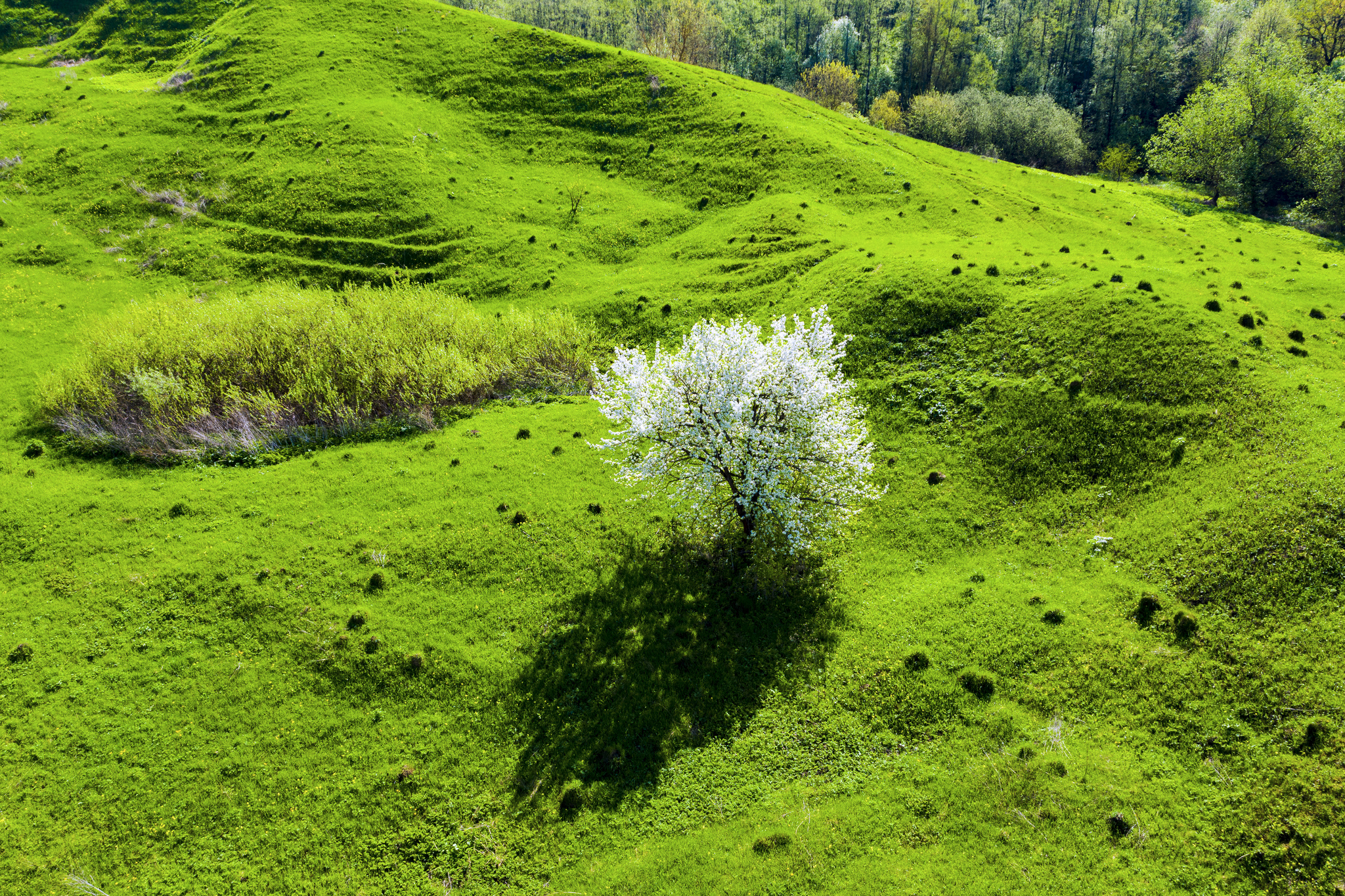 Tula region - My, Quadcopter, Drone, Aerial photography, The photo, Video, Longpost, Friday tag is mine, Nature