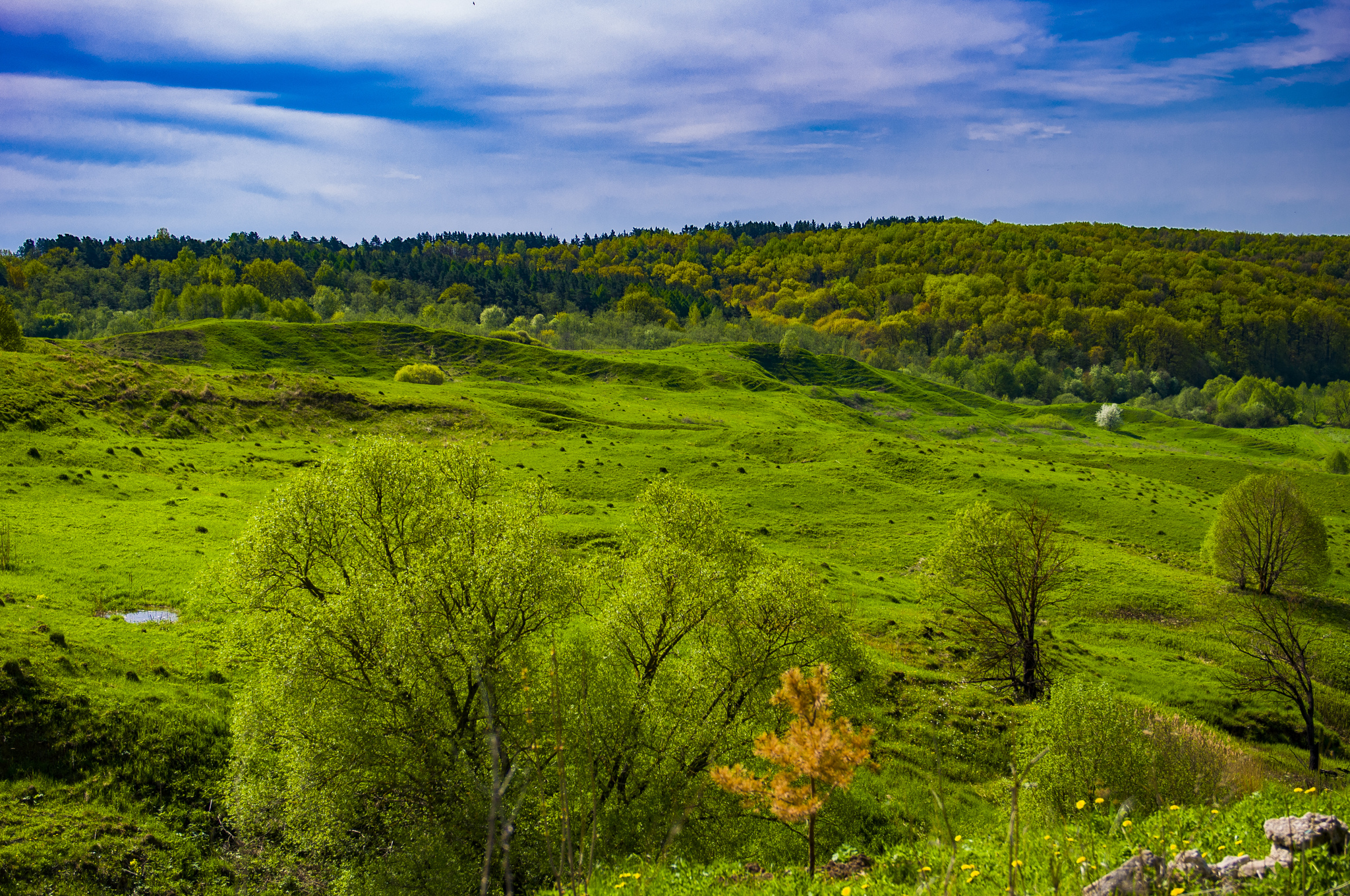 Tula region - My, Quadcopter, Drone, Aerial photography, The photo, Video, Longpost, Friday tag is mine, Nature