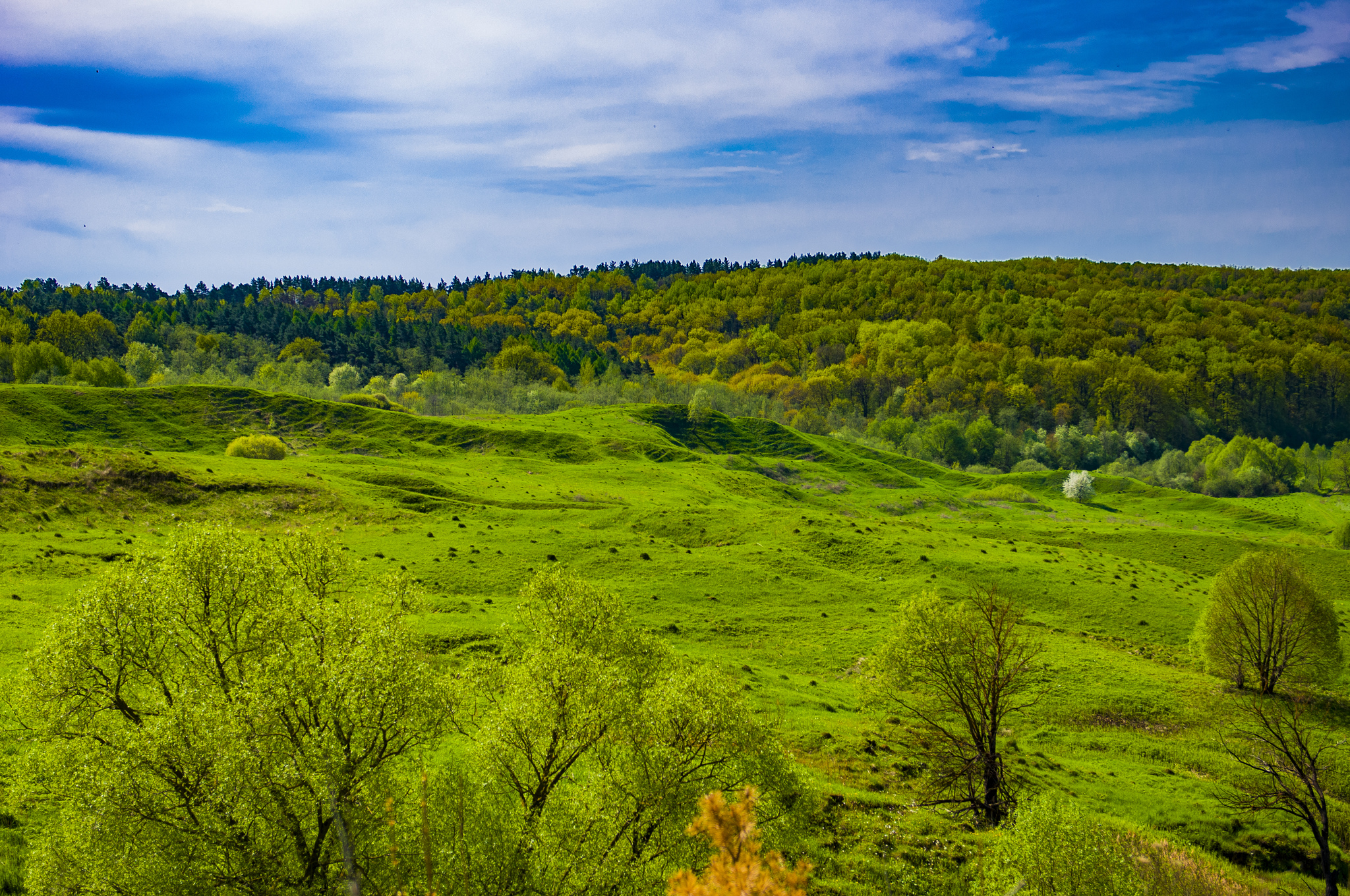 Tula region - My, Quadcopter, Drone, Aerial photography, The photo, Video, Longpost, Friday tag is mine, Nature