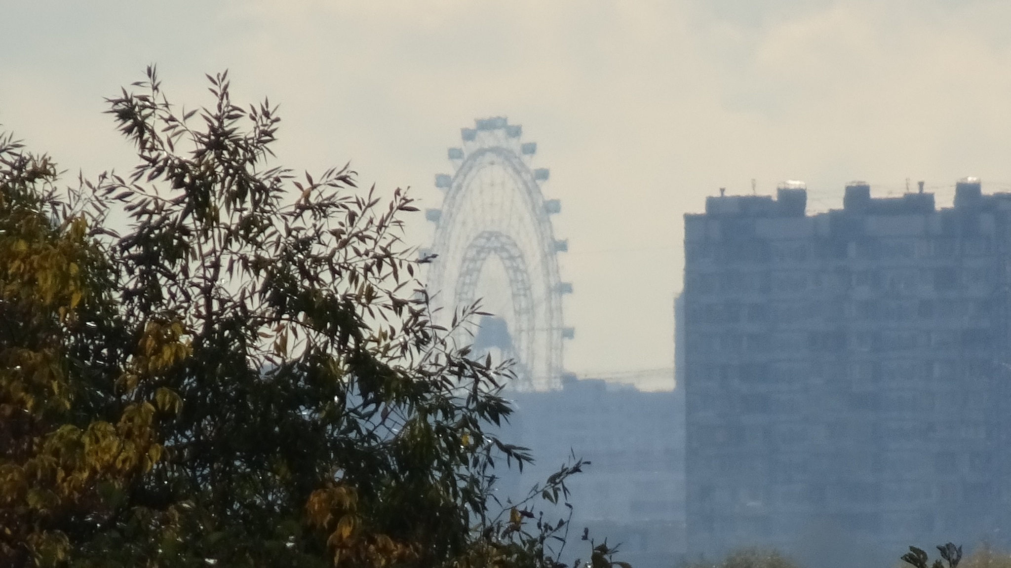 View from Mytishchi on the Sun of Moscow - The photo, Sony, Attraction, Ferris wheel, London Eye, Longpost