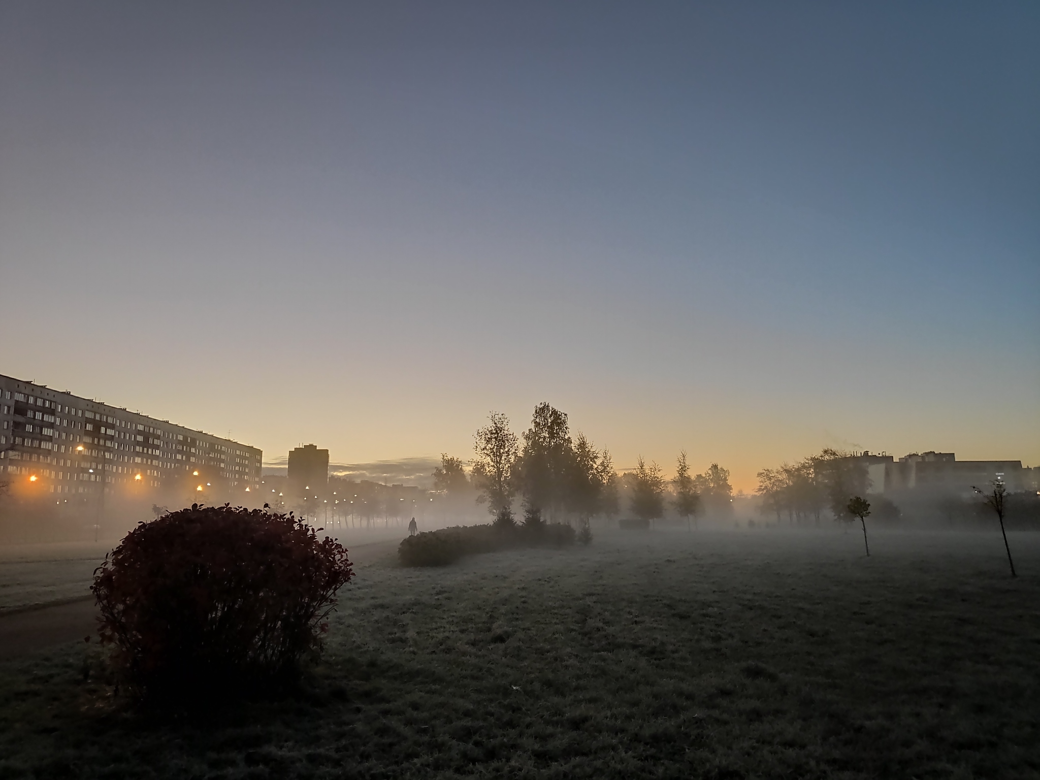 Morning Peter - My, Saint Petersburg, Morning, Nature, The photo