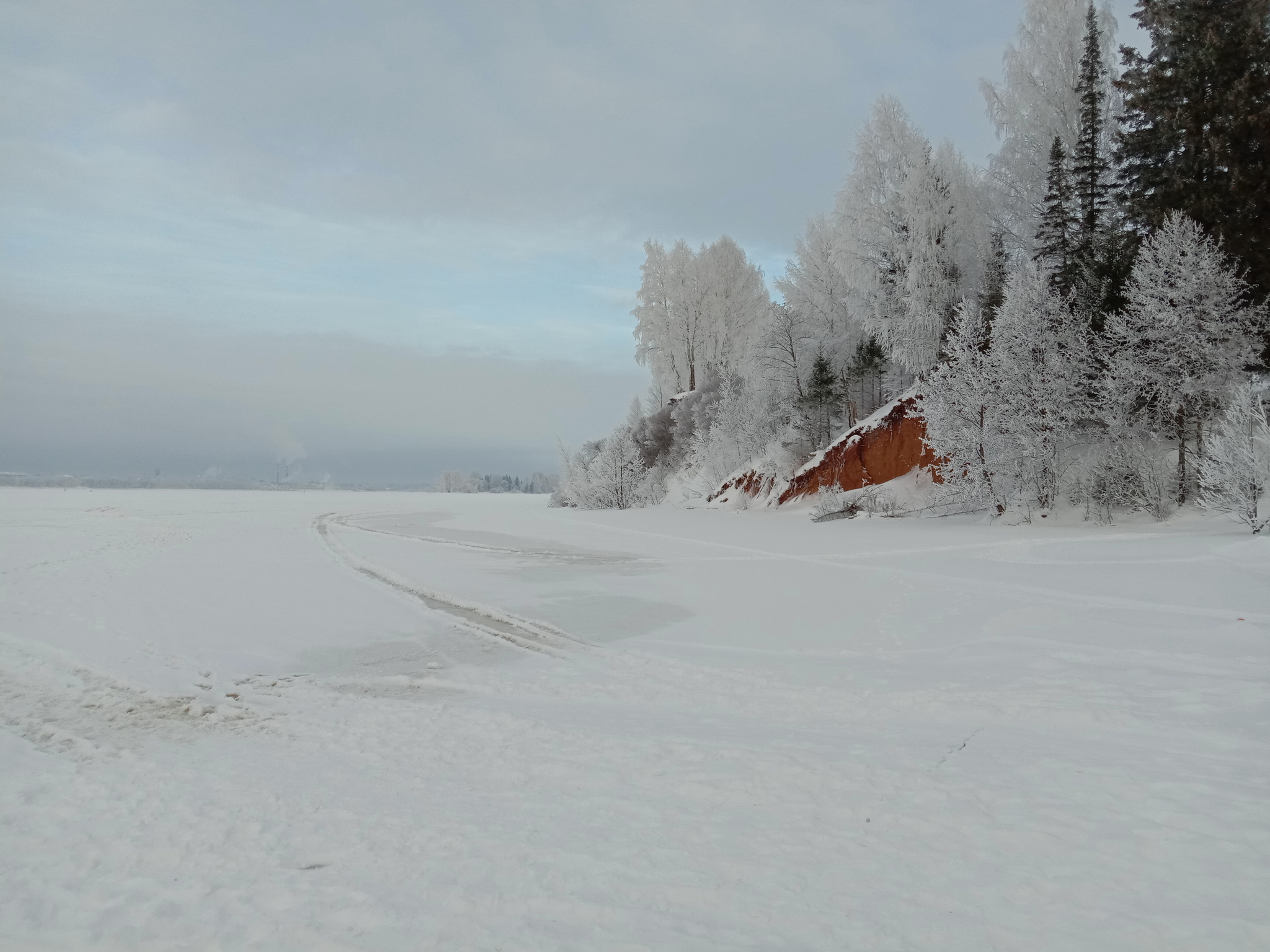 A bit of winter... - My, The photo, Winter, Dog, Perm Territory, Snow, Nature