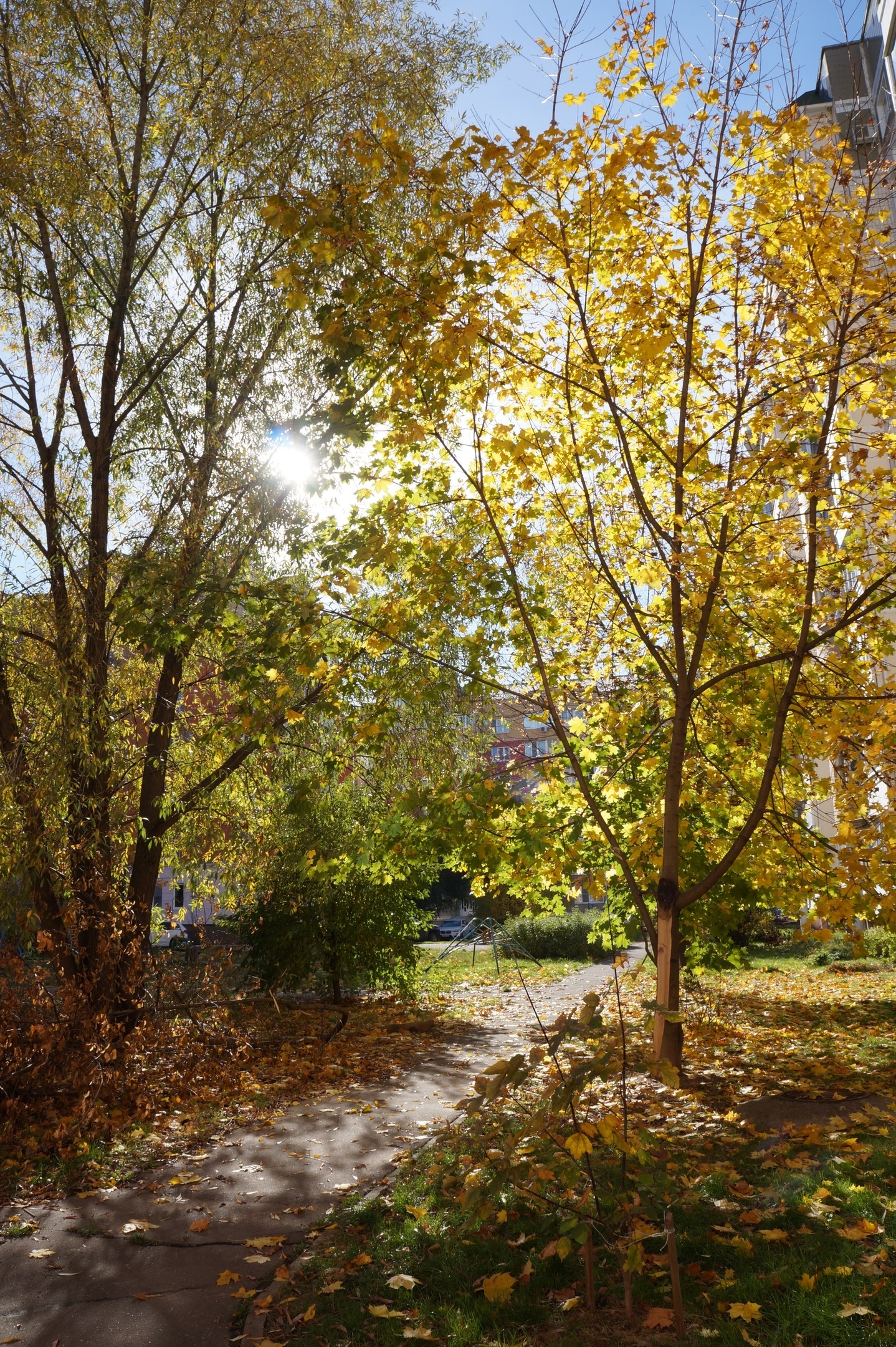 Sunny Tuesday in Obninsk - My, Obninsk, The photo, Autumn, Longpost