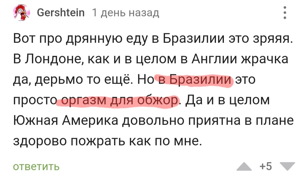 Плюсы и минусы жизни в Бразилии от пикабушников - Бразилия, Плюсы и минусы, Интересное, Скриншот, Длиннопост, Мат