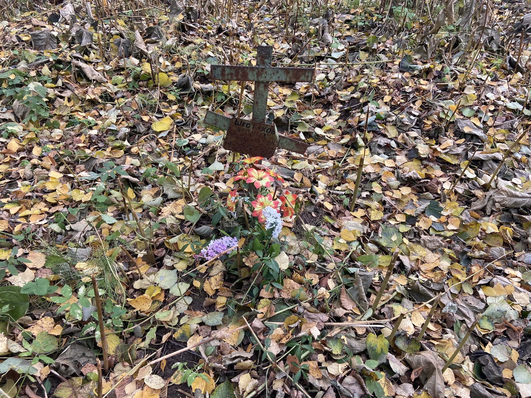 Cemetery in Perm and the grave of the cursed daughter - My, Cemetery, Grave, Permian, Longpost