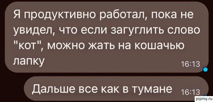 Всем удачной работы ! - Юмор, Кот, Google