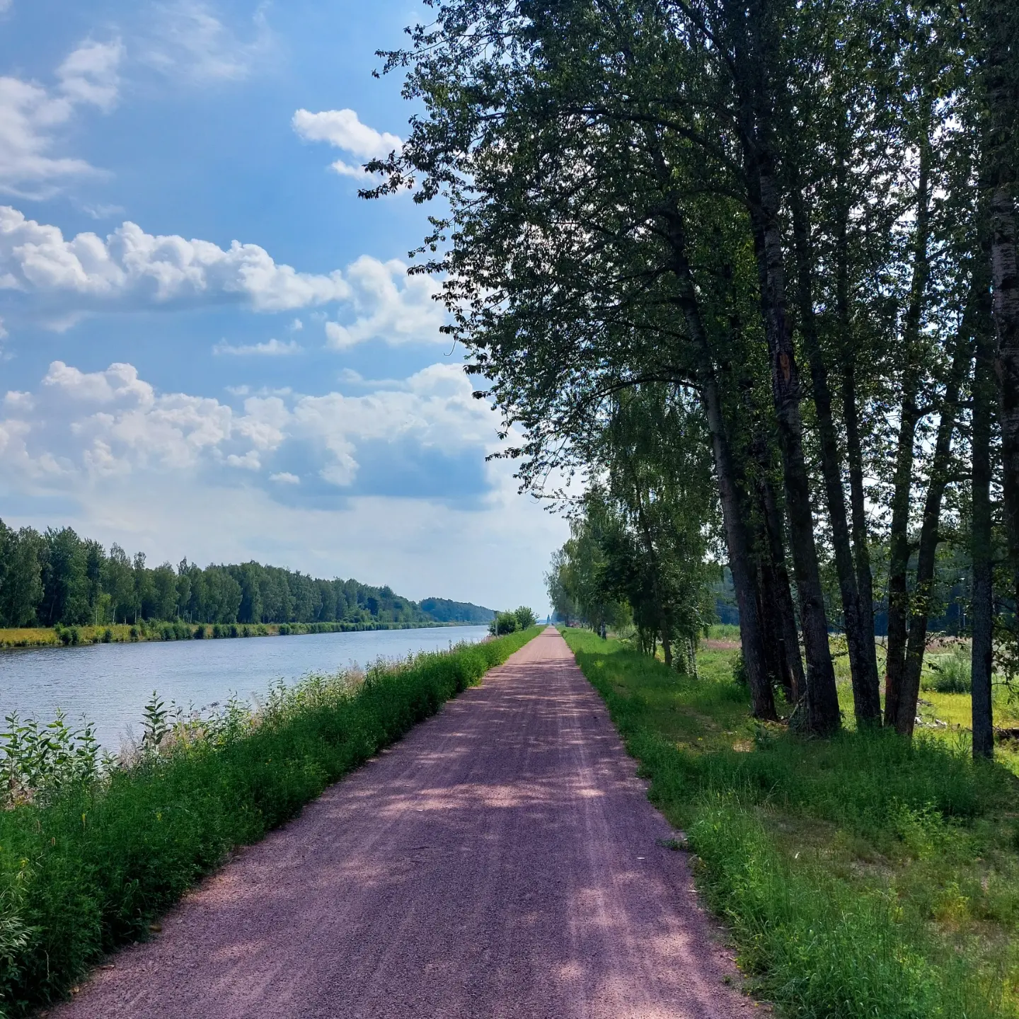 Velo 1. Section Dubna - Yakhroma - A bike, Velo1, Pokatushki, Longpost