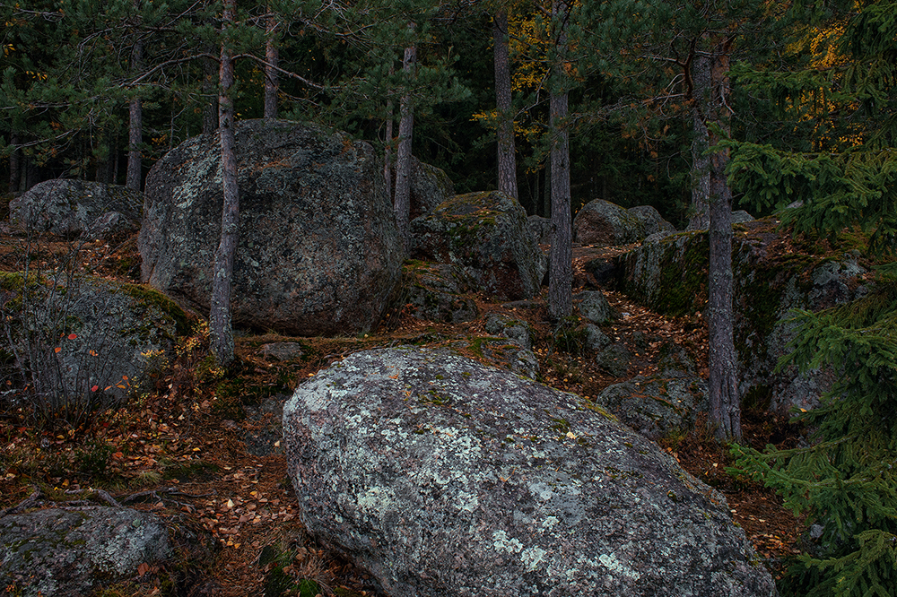 in Mon Repos. Vyborg - My, Mon Repos Park, Autumn, Vyborg, The park, The nature of Russia, Longpost