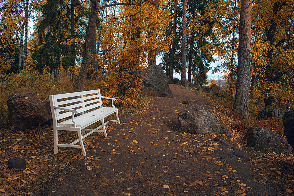 in Mon Repos. Vyborg - My, Mon Repos Park, Autumn, Vyborg, The park, The nature of Russia, Longpost