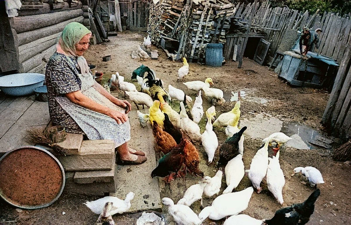 Жизнь советской деревни. Владимир Руфинович Лагранж фотографии. Владимир Лагранж фотоработы. Владимир Лагранж фотографии так мы жили. Фотограф Лагранж Владимир бабуля.