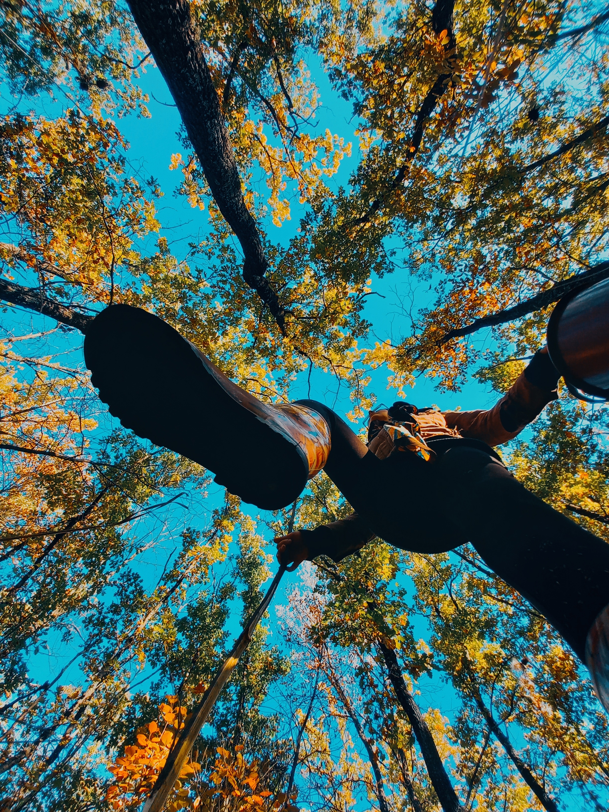 Humans from the point of view of the mushroom - My, Landing, Mushrooms, Giant people, Autumn, Sky, Longpost