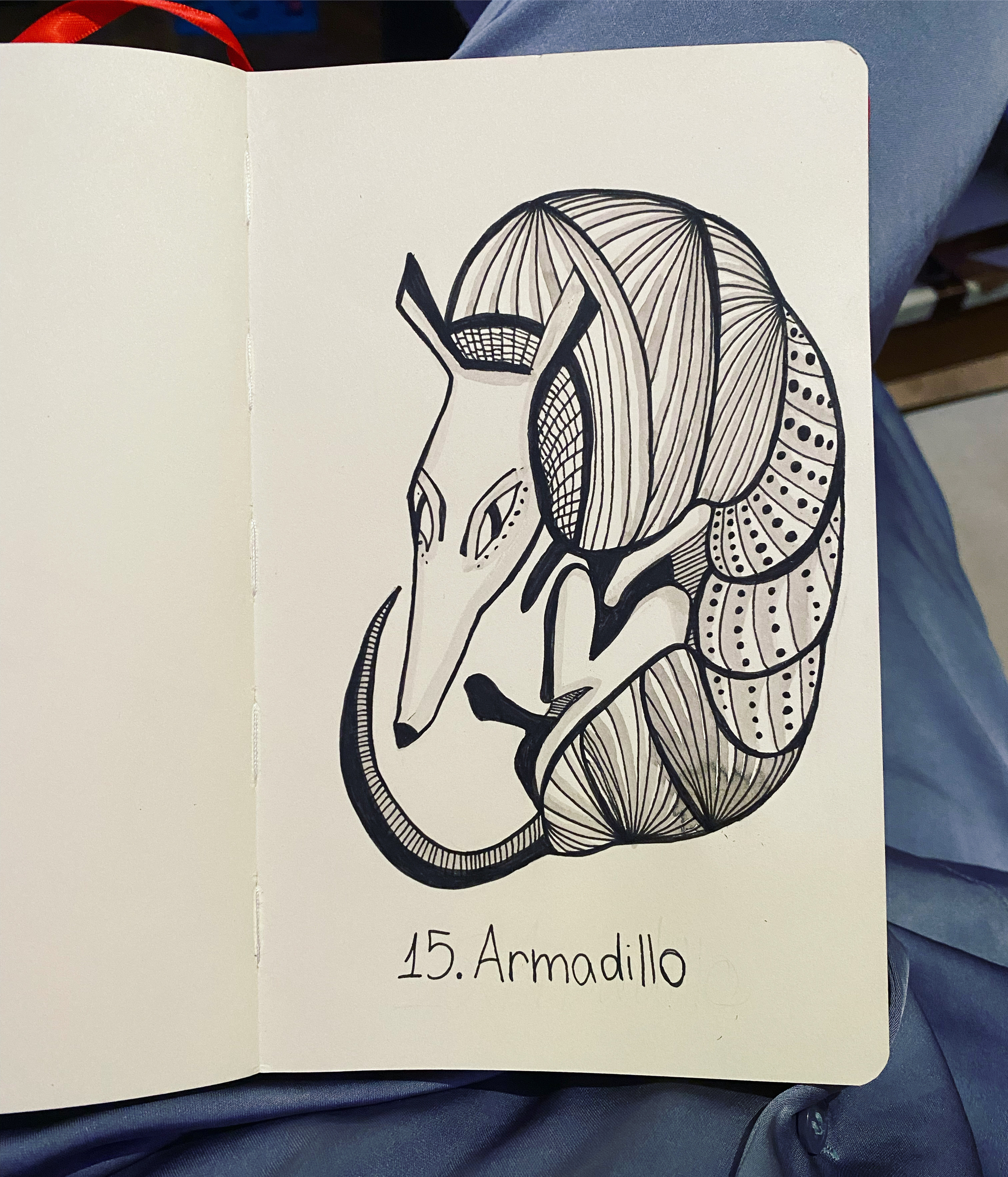 Day 15. Armadillo. Inktober 2022 - Моё, Inktober, Чернила, Рисунок, Иллюстрации, Арт