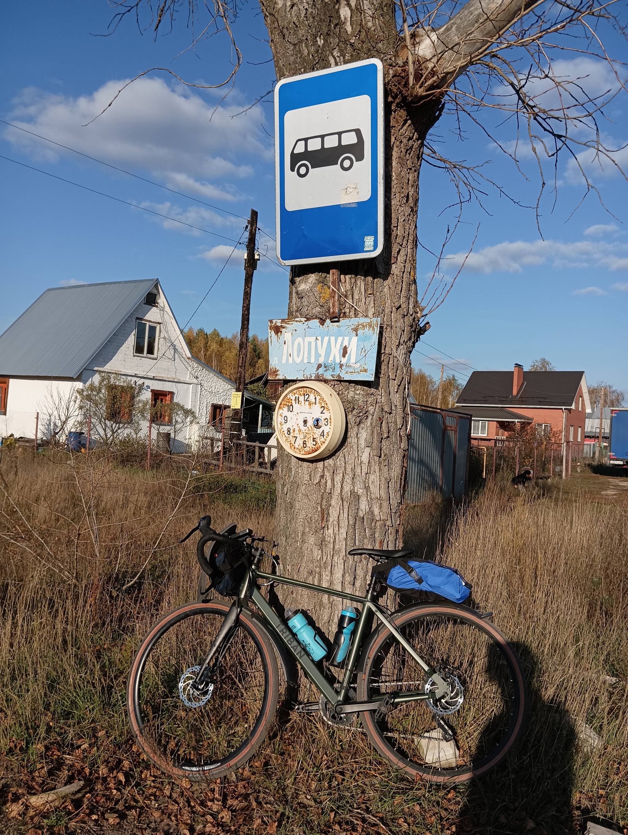 Autumn - My, A bike, Cyclist, Bike ride, Gravel, Forest, Longpost, The photo