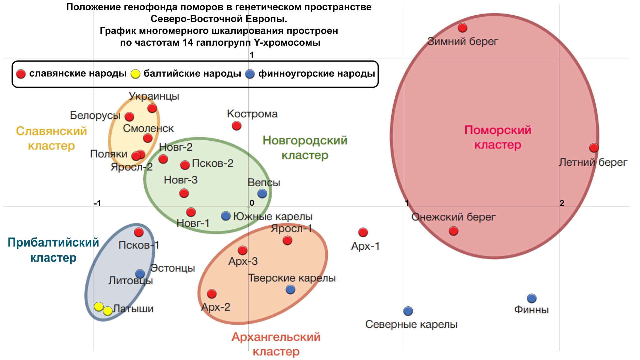 Поморы Онежского полуострова и Зимнего берега в генетическом контексте севера Европы - Моё, История, Наука, Популяционная генетика, Поморы, Белое море, Архангельская область, Генофонд, Видео, YouTube, Гифка, Длиннопост