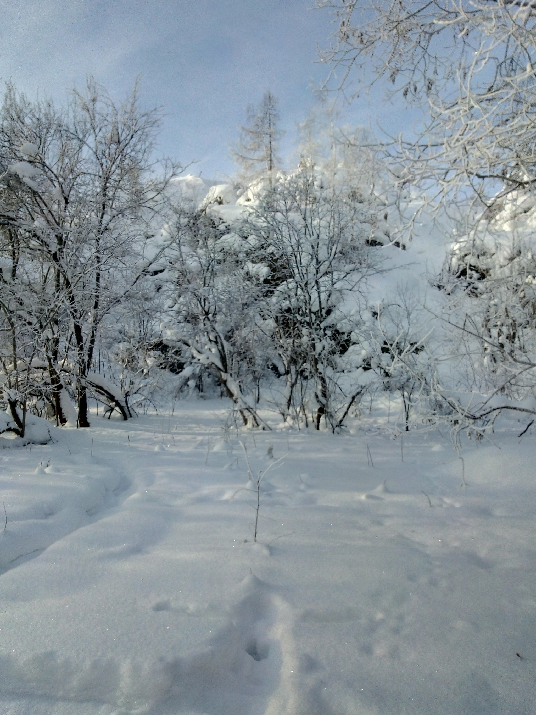 Mount Azov - The photo, Winter, Longpost