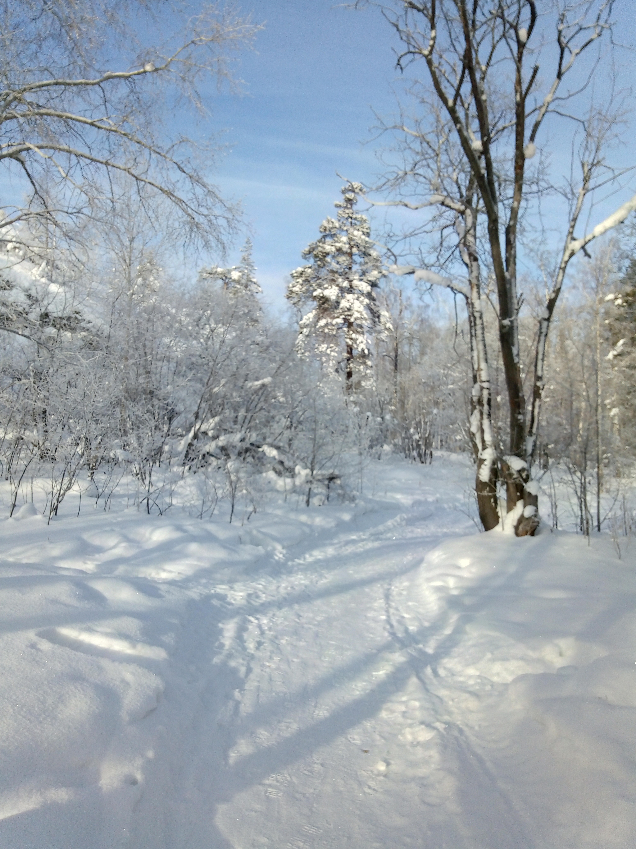 Mount Azov - The photo, Winter, Longpost