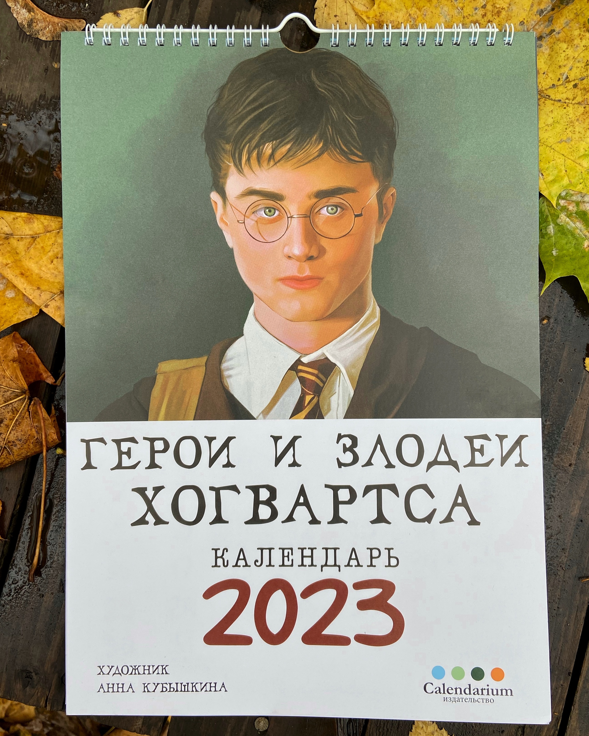 Календарь «Герои и злодеи Хогвартса» - Моё, Гарри Поттер, Арт, Северус Снейп, Альбус Дамблдор, Рон Уизли, Волан-Де-Морт, Драко Малфой, Минерва Макгонагалл, Сириус Блэк, Длиннопост