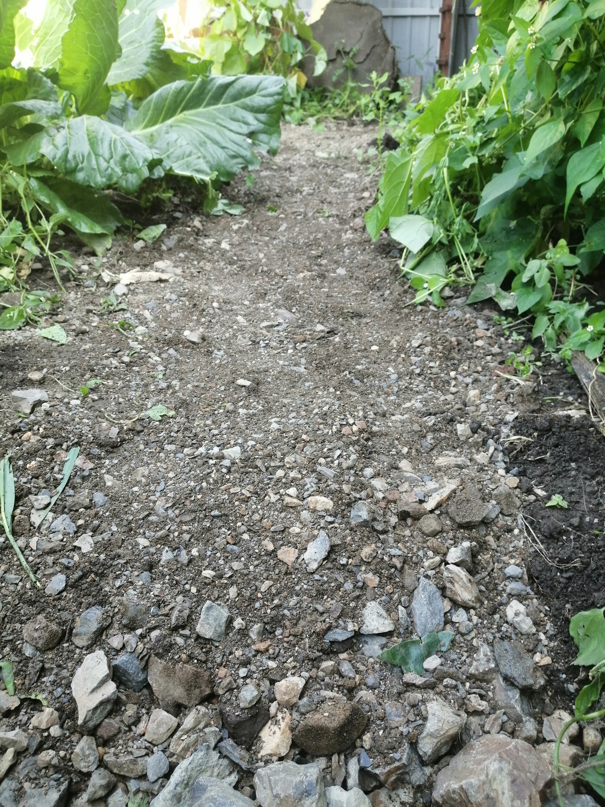 The path is concrete, fast and not expensive - My, Track, Land plot, My house, Building, Dacha, Longpost