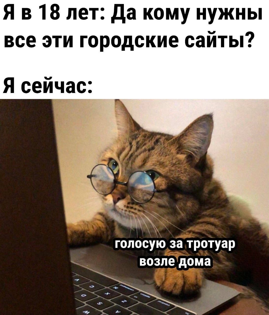 Я сегодня первый раз пожаловался на мусор у подъезда - Город, Москва, Госуслуги, Интернет, Юмор, Кот, Повтор