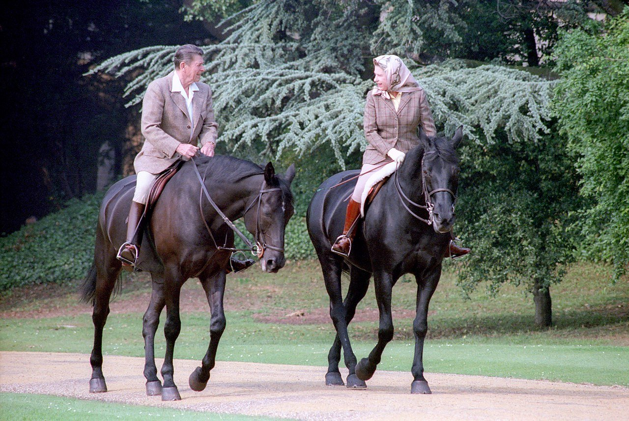 Queen Elizabeth II's horses up for auction - Horses, Sale, Queen Elizabeth II, Animals, Great Britain, Inheritance, Longpost