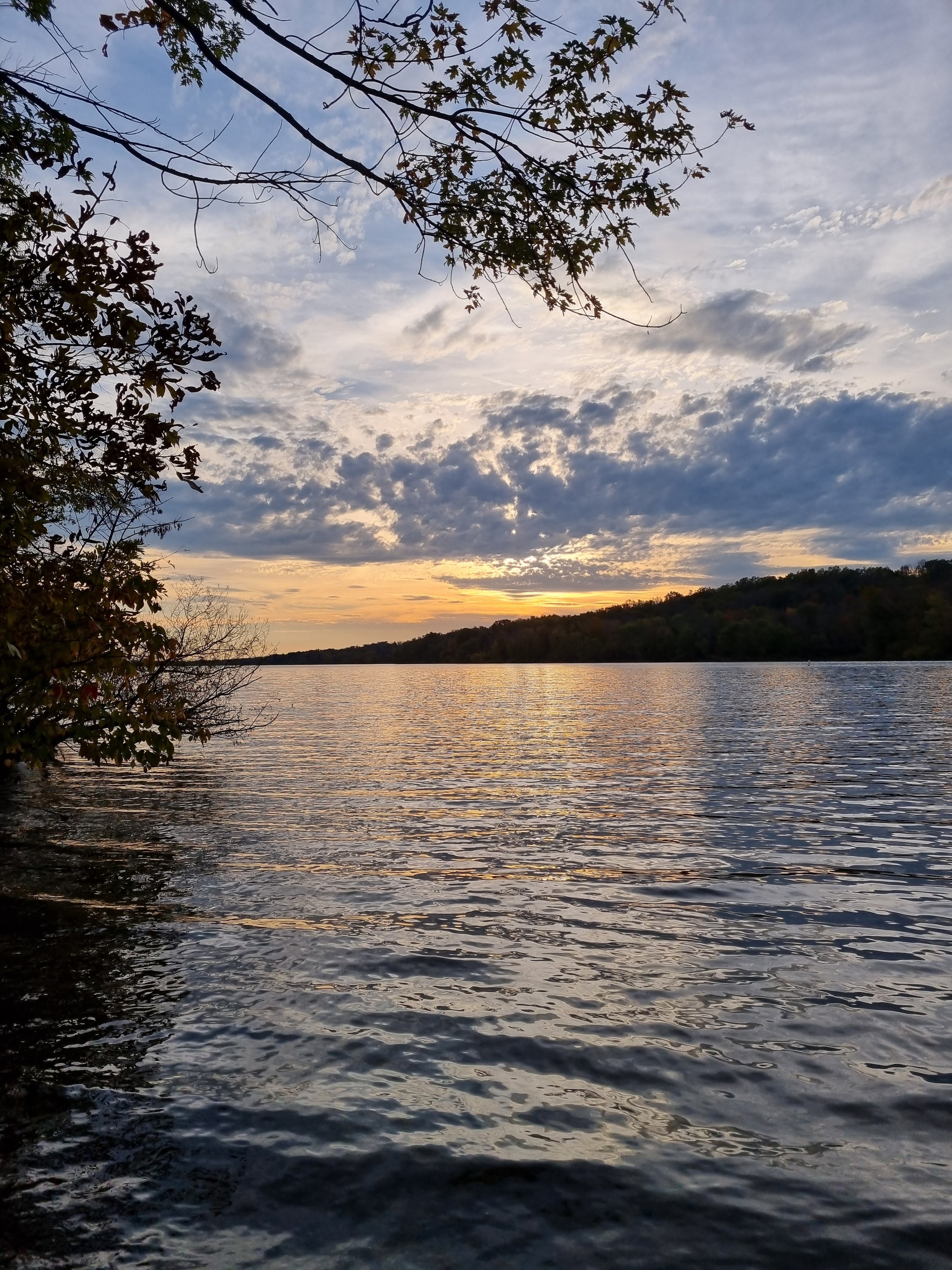 A touch of autumn - My, Mobile photography, Autumn, Nature, Without processing, Longpost