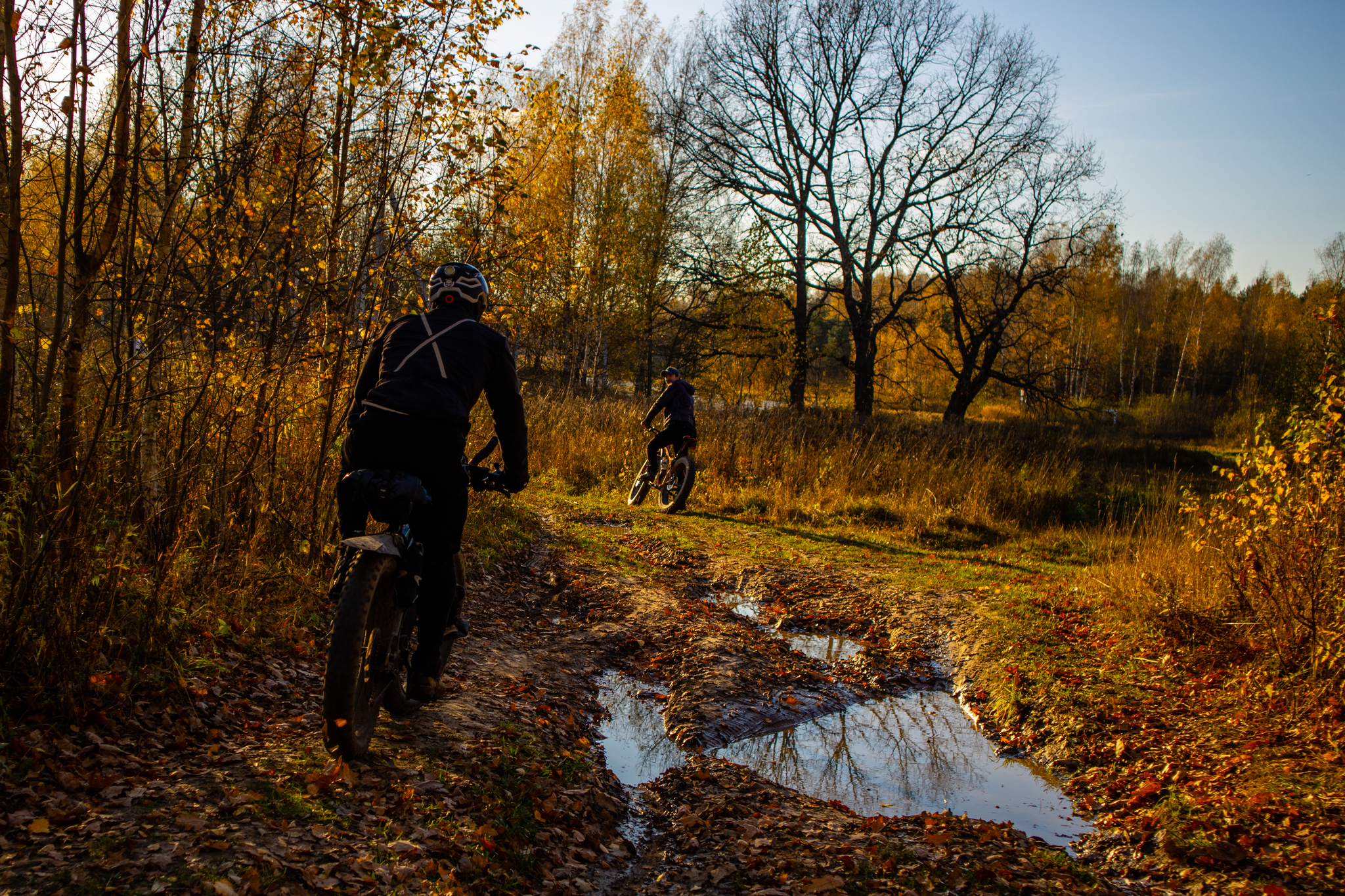 Catching the last warm days of autumn - My, beauty, Autumn, A bike, Yaroslavskaya oblast, Puddle