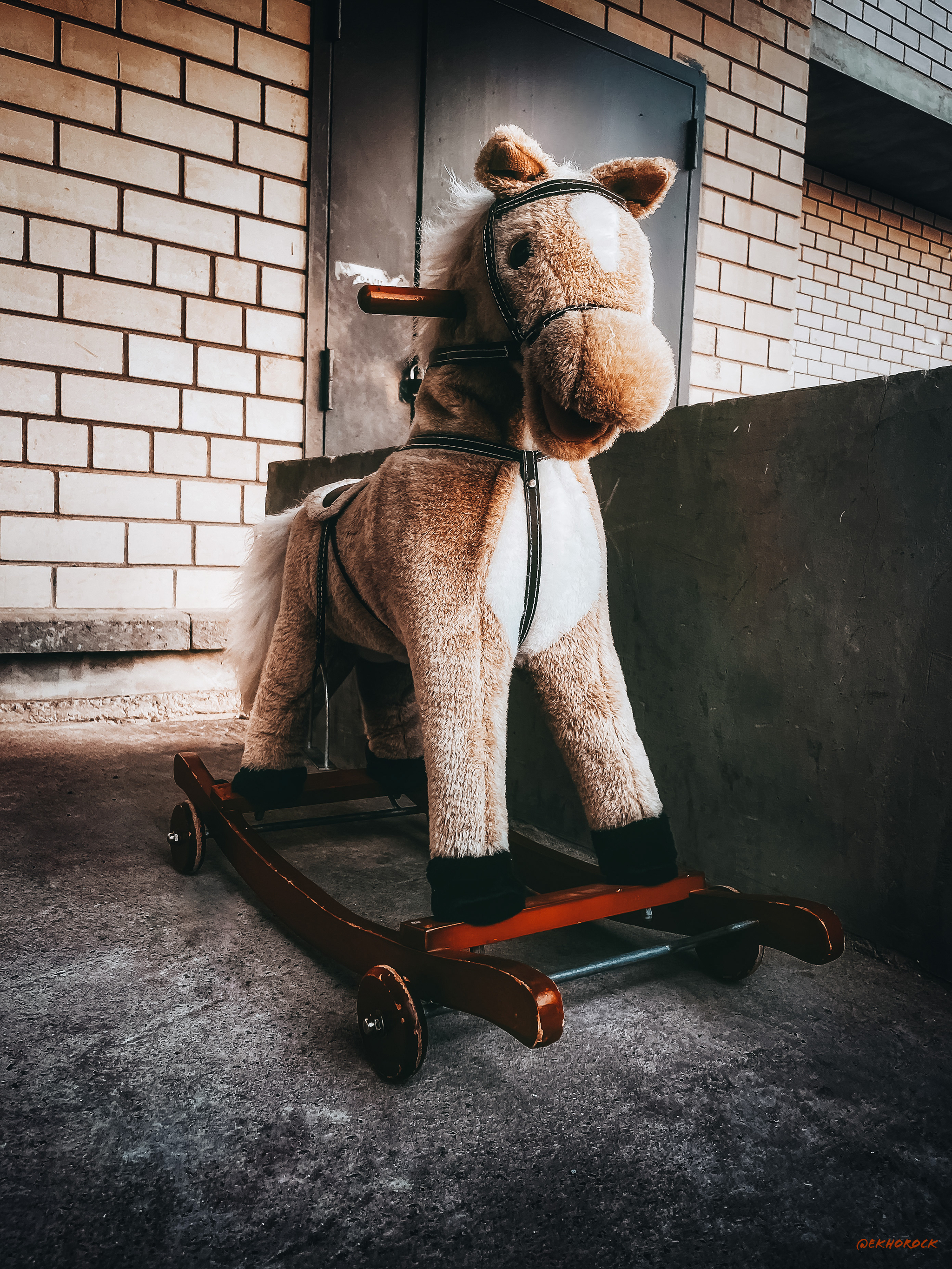 Discarded rocking horse - My, Childhood, Toys, Toy horse, The photo